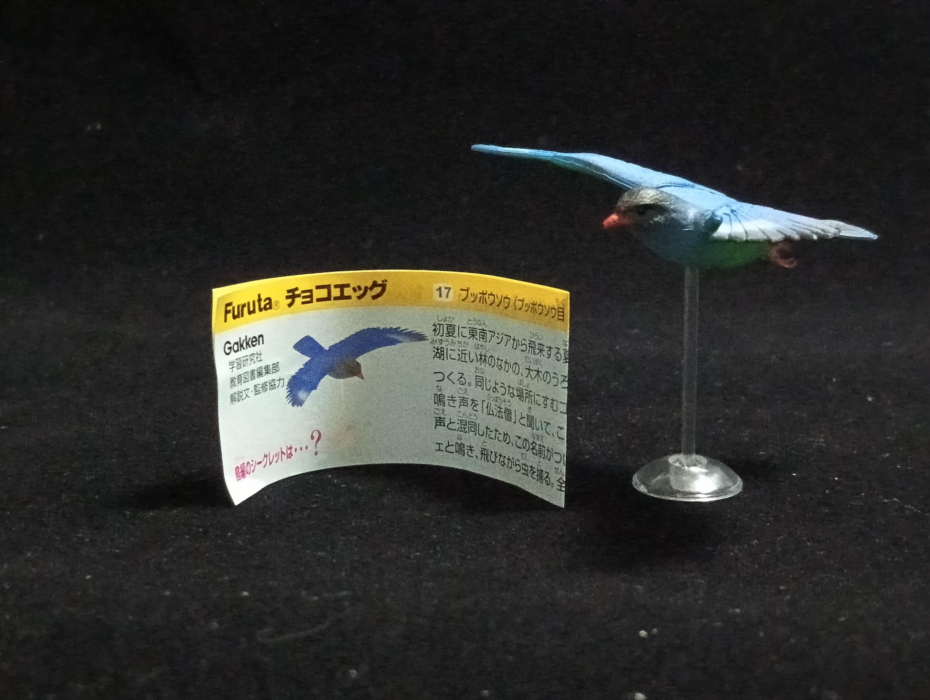 Miniature Long-breasted Carpenter (Collindae) Figurine - New Zealand pigeon Kaiyodo