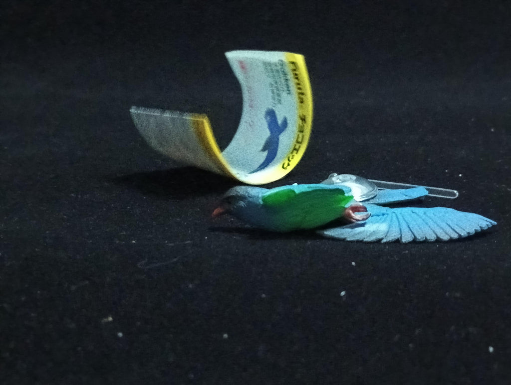 Miniature Long-breasted Carpenter (Collindae) Figurine - New Zealand pigeon Kaiyodo