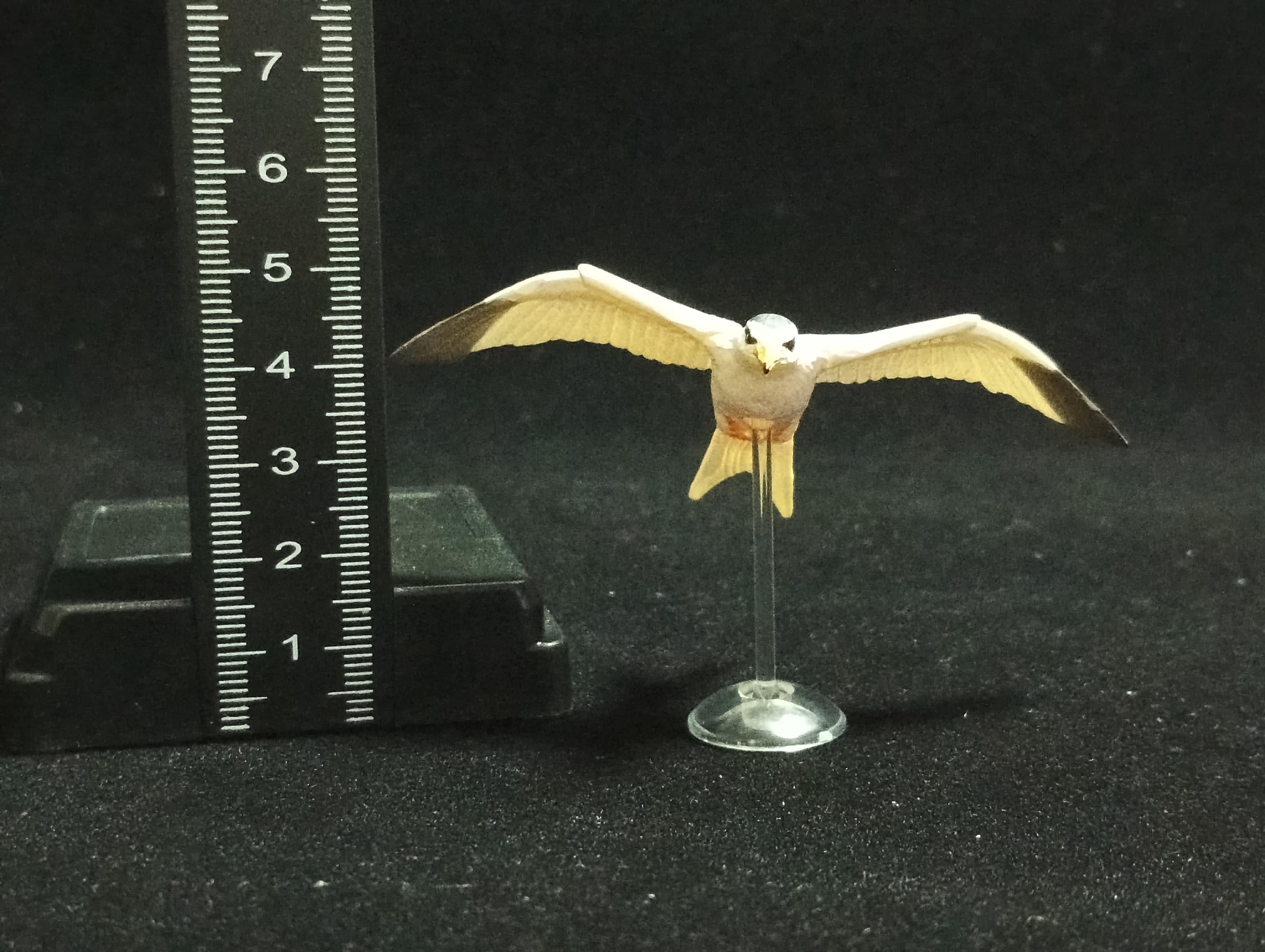 Miniature Little Tern (Sterna stern) Figurine - Kaiyodo