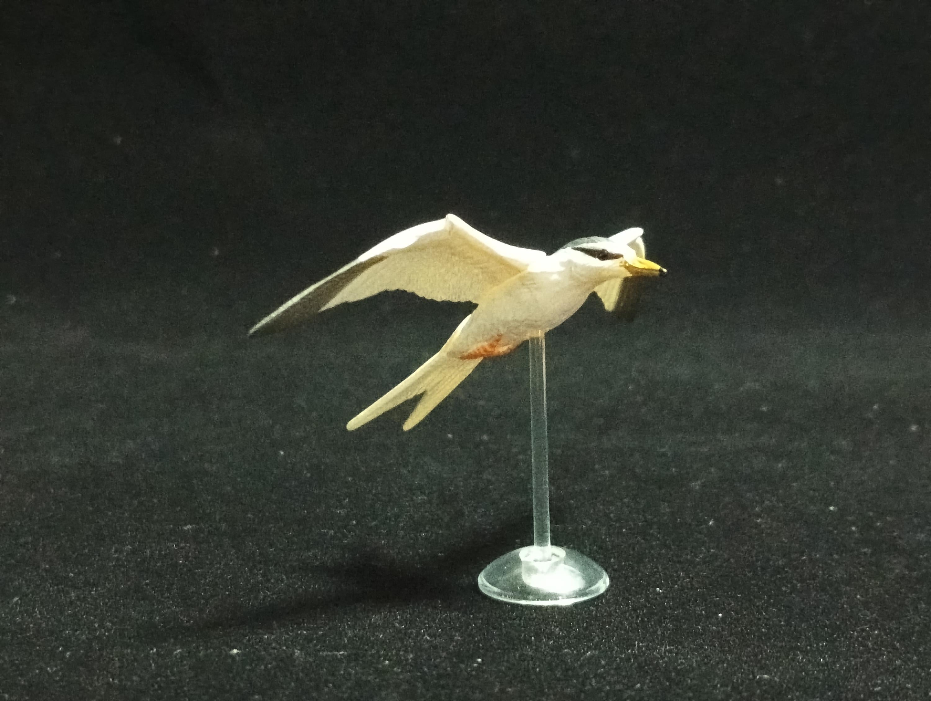 Miniature Little Tern (Sterna stern) Figurine - Kaiyodo