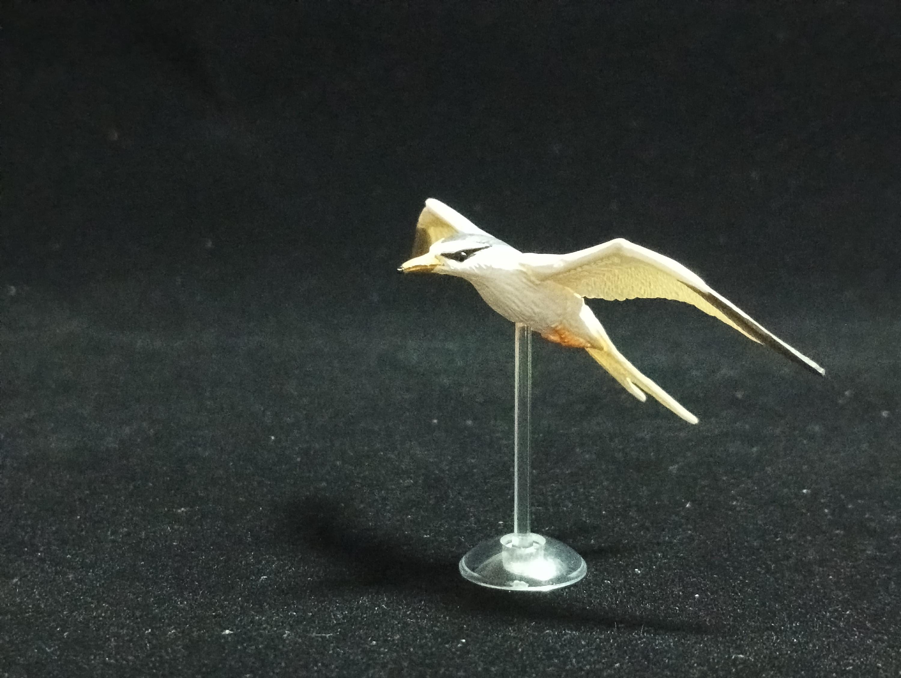 Miniature Little Tern (Sterna stern) Figurine - Kaiyodo