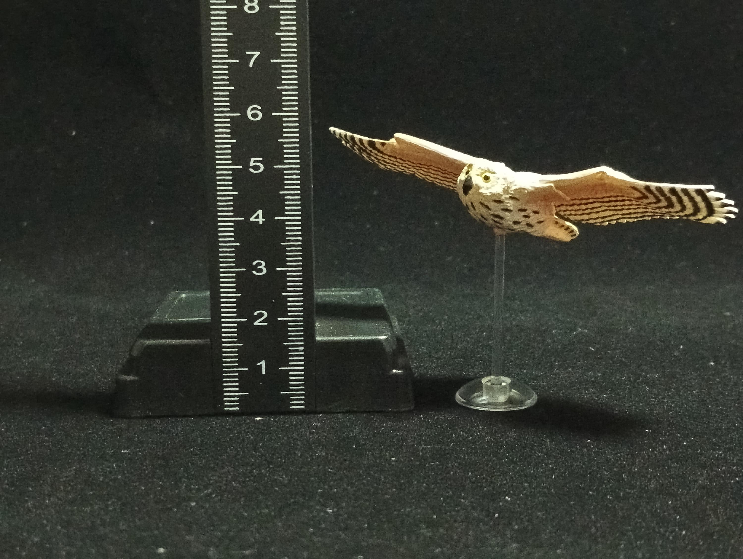 Miniature Short-eared owl Figurine - Kaiyodo