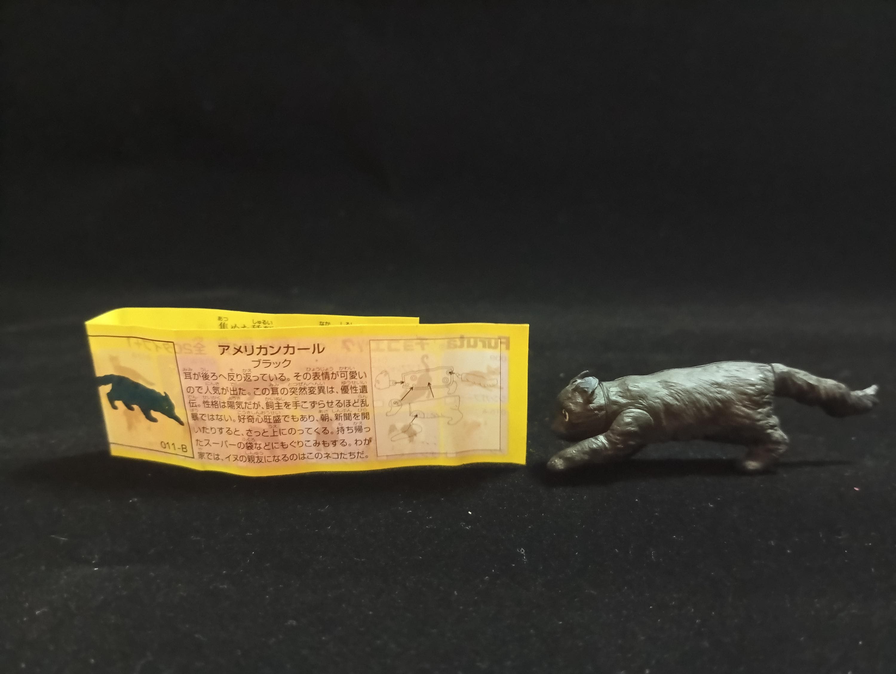 Miniature American Curl Figurine - Furuta