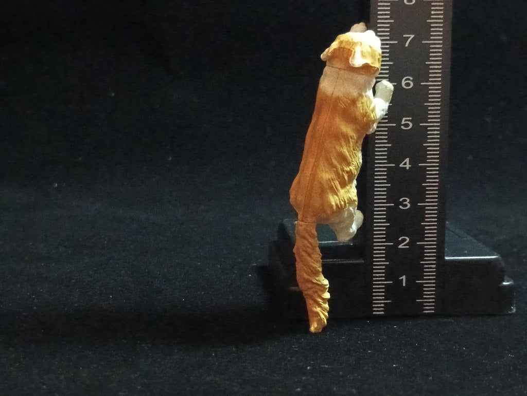 Miniature American Curl (A) Figurine - Furuta