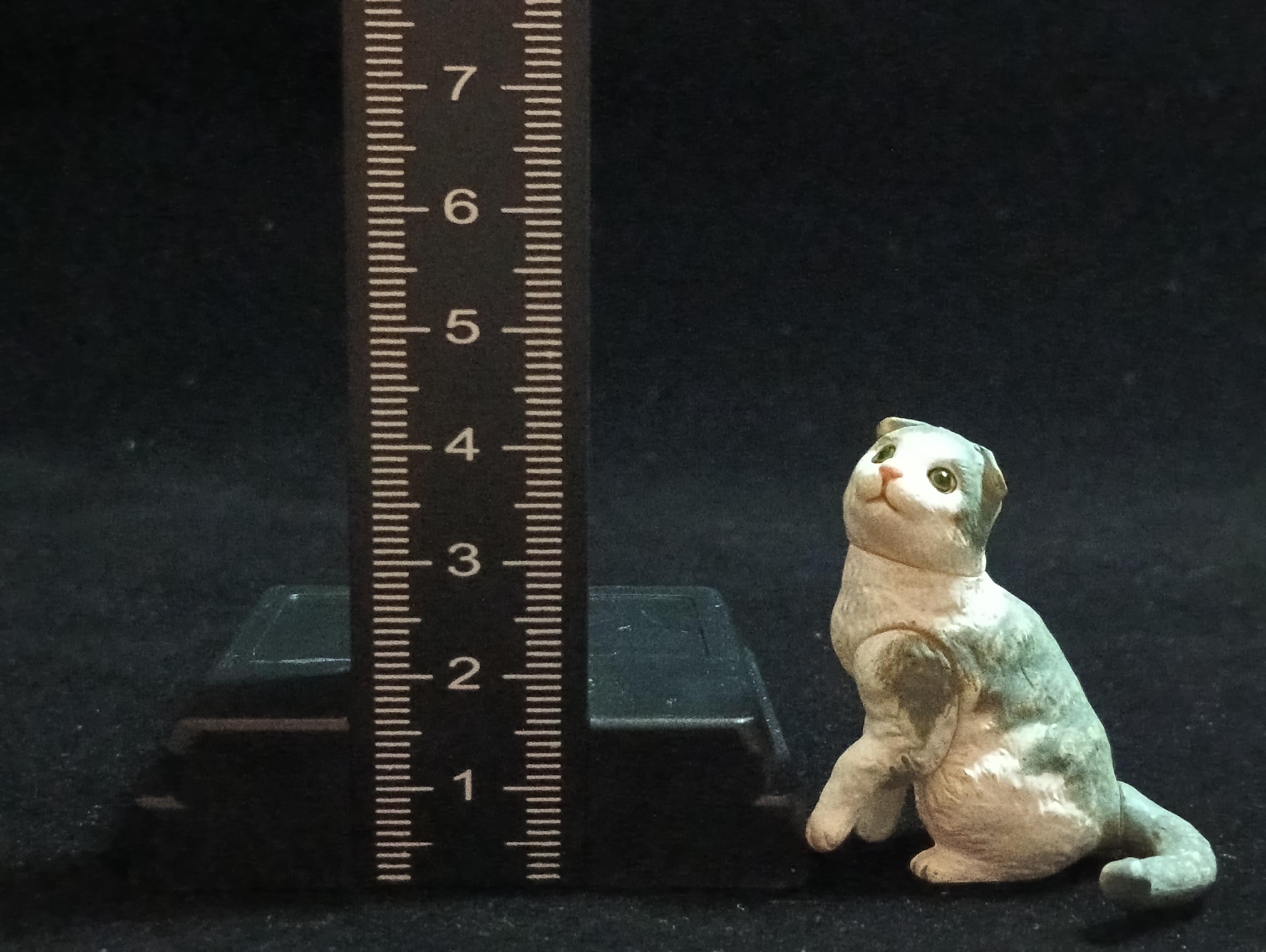 Miniature Scottish Fold Cat(B) Figurine - Furuta