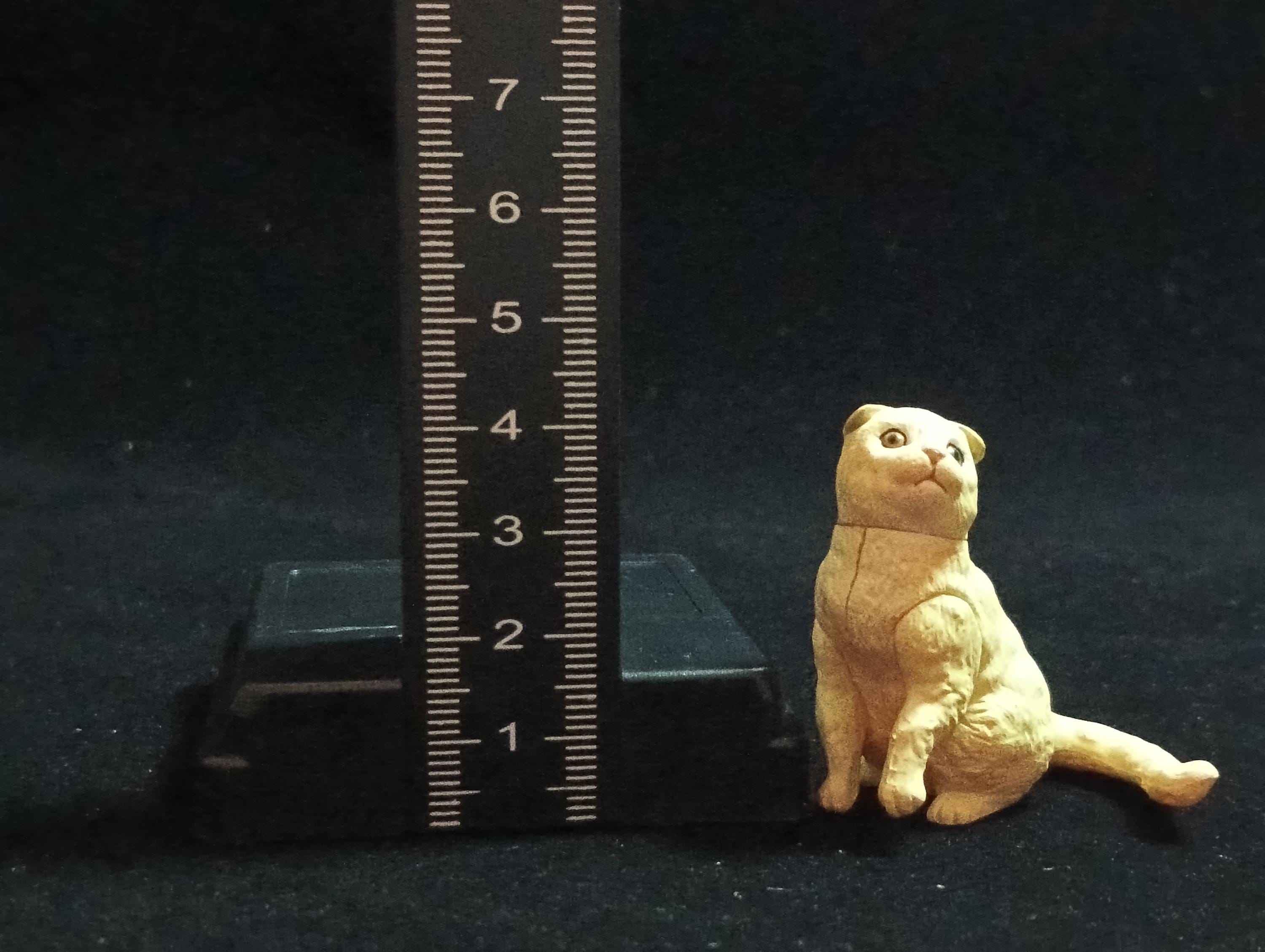 Miniature Scottish Fold(A) Figurine - Furuta