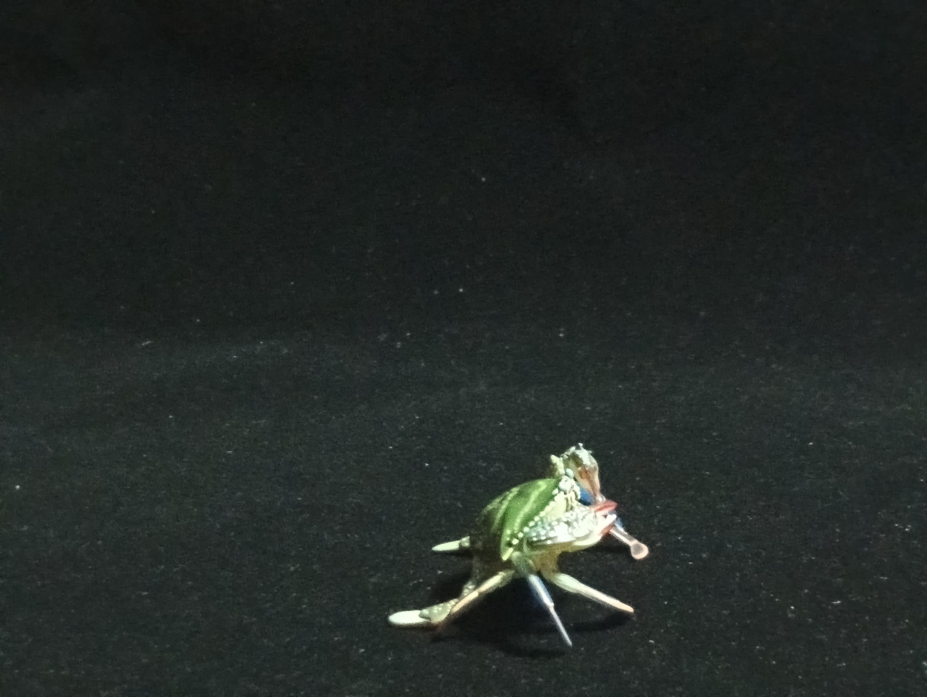 Yujin Takara Kaiyodo Retired Japan Exclusive Blue Swimming Crab Figure