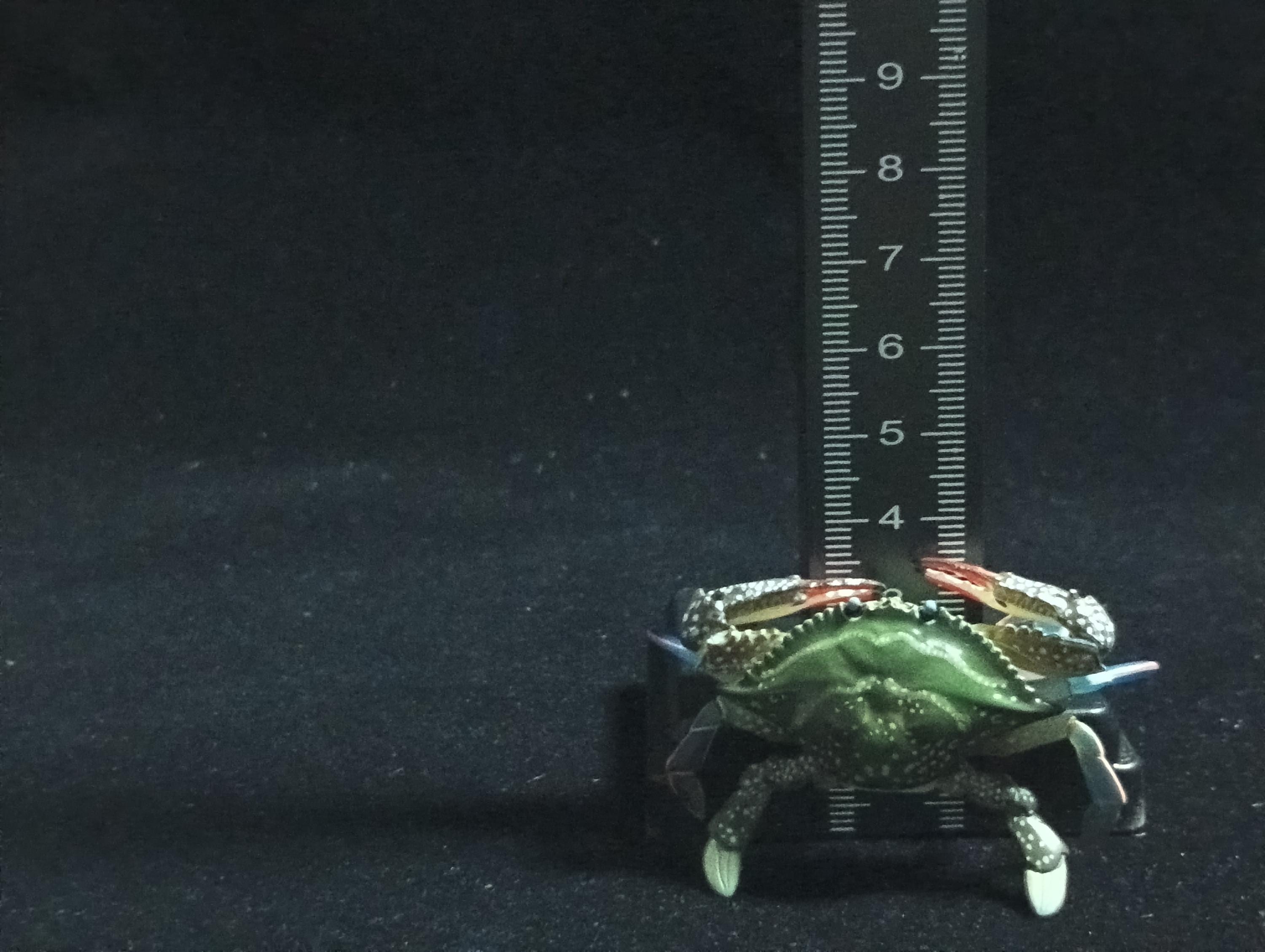 Yujin Takara Kaiyodo Retired Japan Exclusive Blue Swimming Crab Figure
