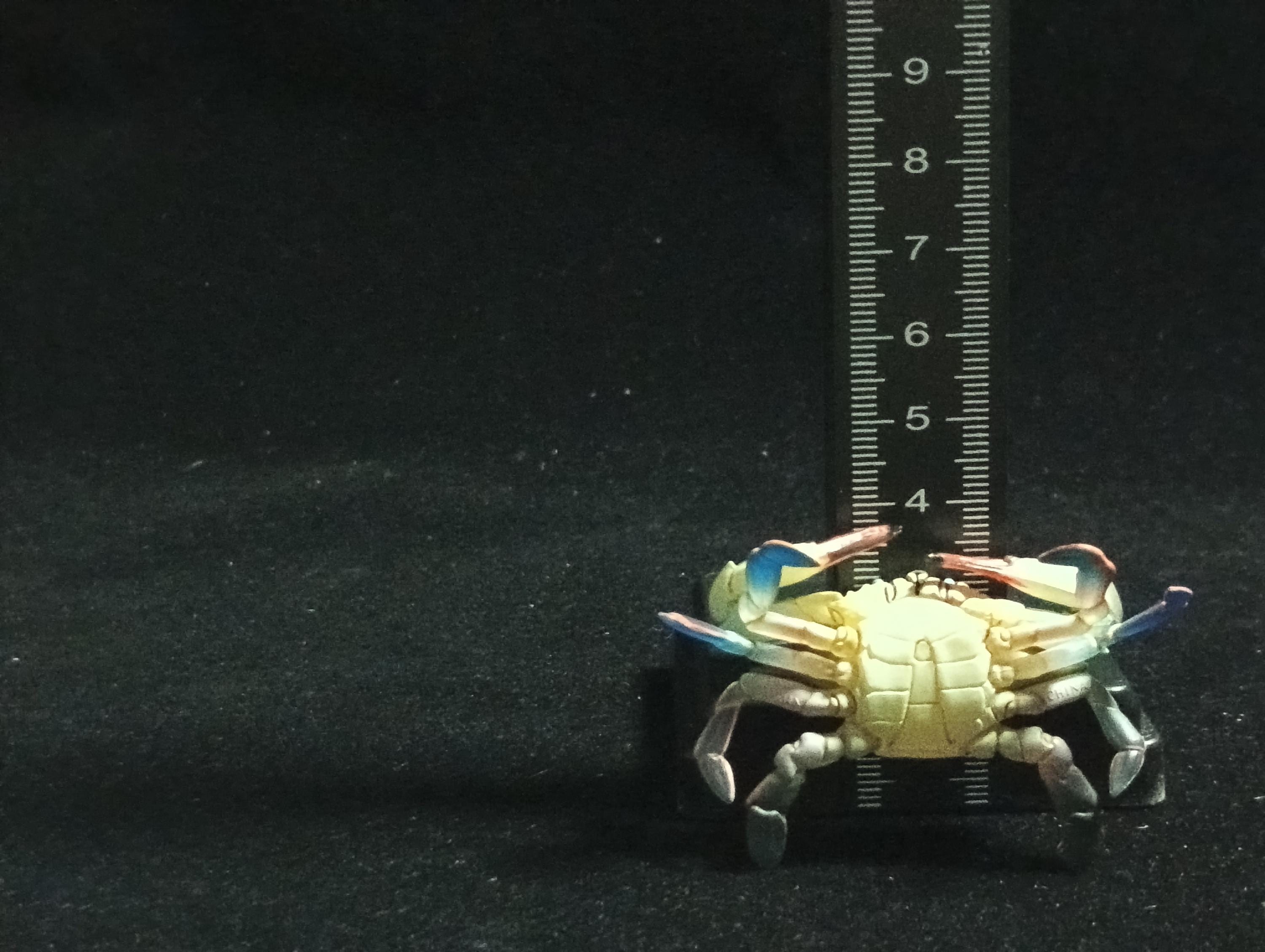 Yujin Takara Kaiyodo Retired Japan Exclusive Blue Swimming Crab Figure