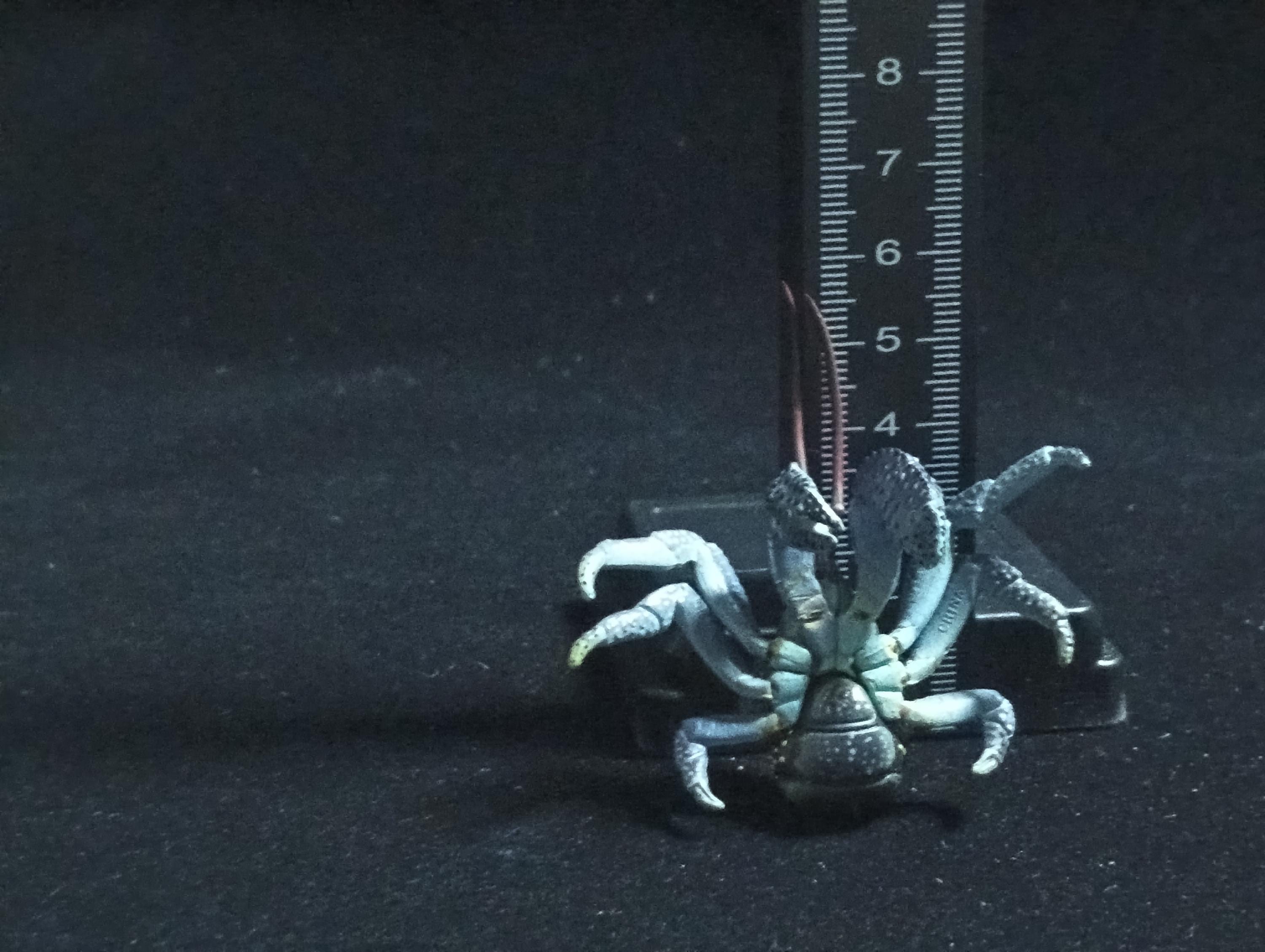 Yujin Takara Kaiyodo Retired Japan Exclusive Coconut crab Figure