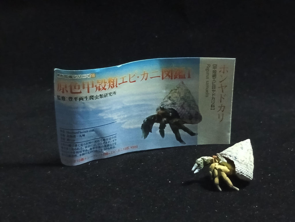 Yujin Takara Kaiyodo Retired Japan Exclusive Coenobita violascens (hermit crab) Figure