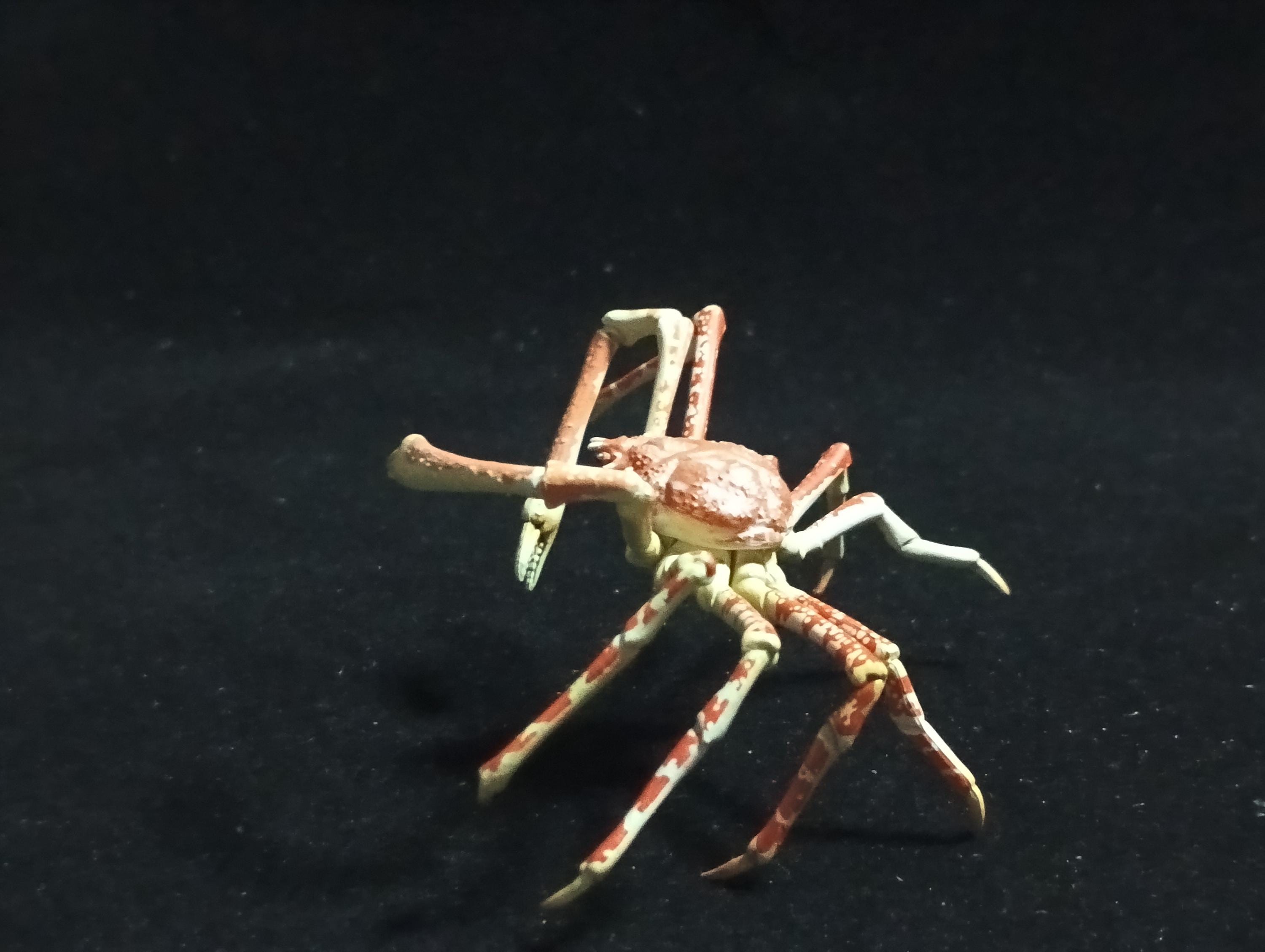 Yujin Takara Kaiyodo Retired Japan Exclusive Spider crab, Macrocheira kaempferi Figure