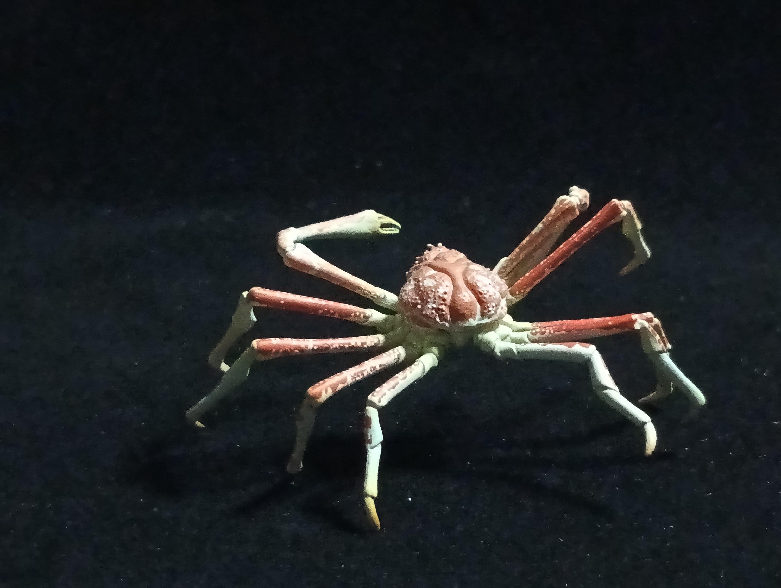 Yujin Takara Kaiyodo Retired Japan Exclusive Spider crab, Macrocheira kaempferi Figure
