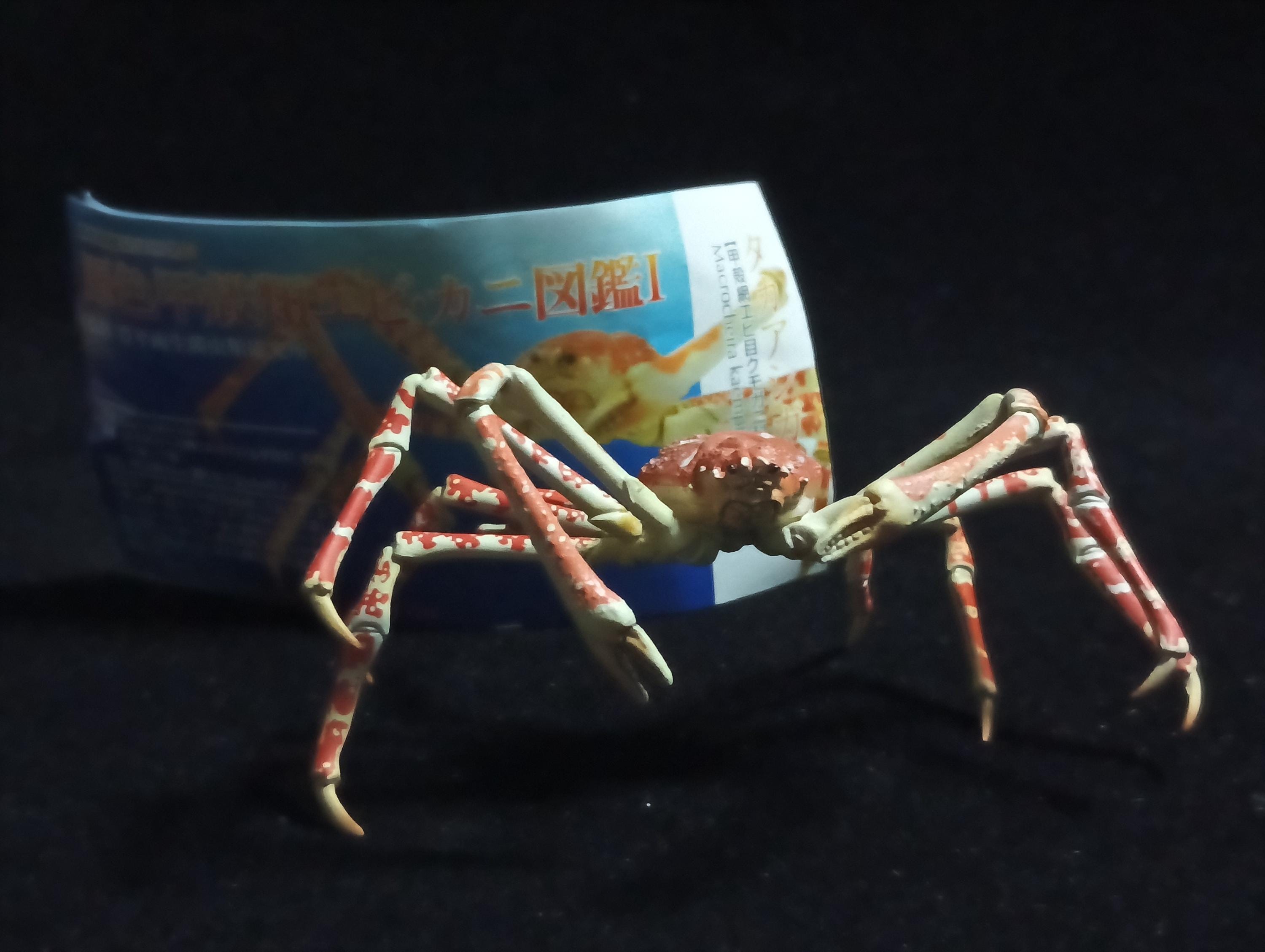 Yujin Takara Kaiyodo Retired Japan Exclusive Spider crab, Macrocheira kaempferi Figure
