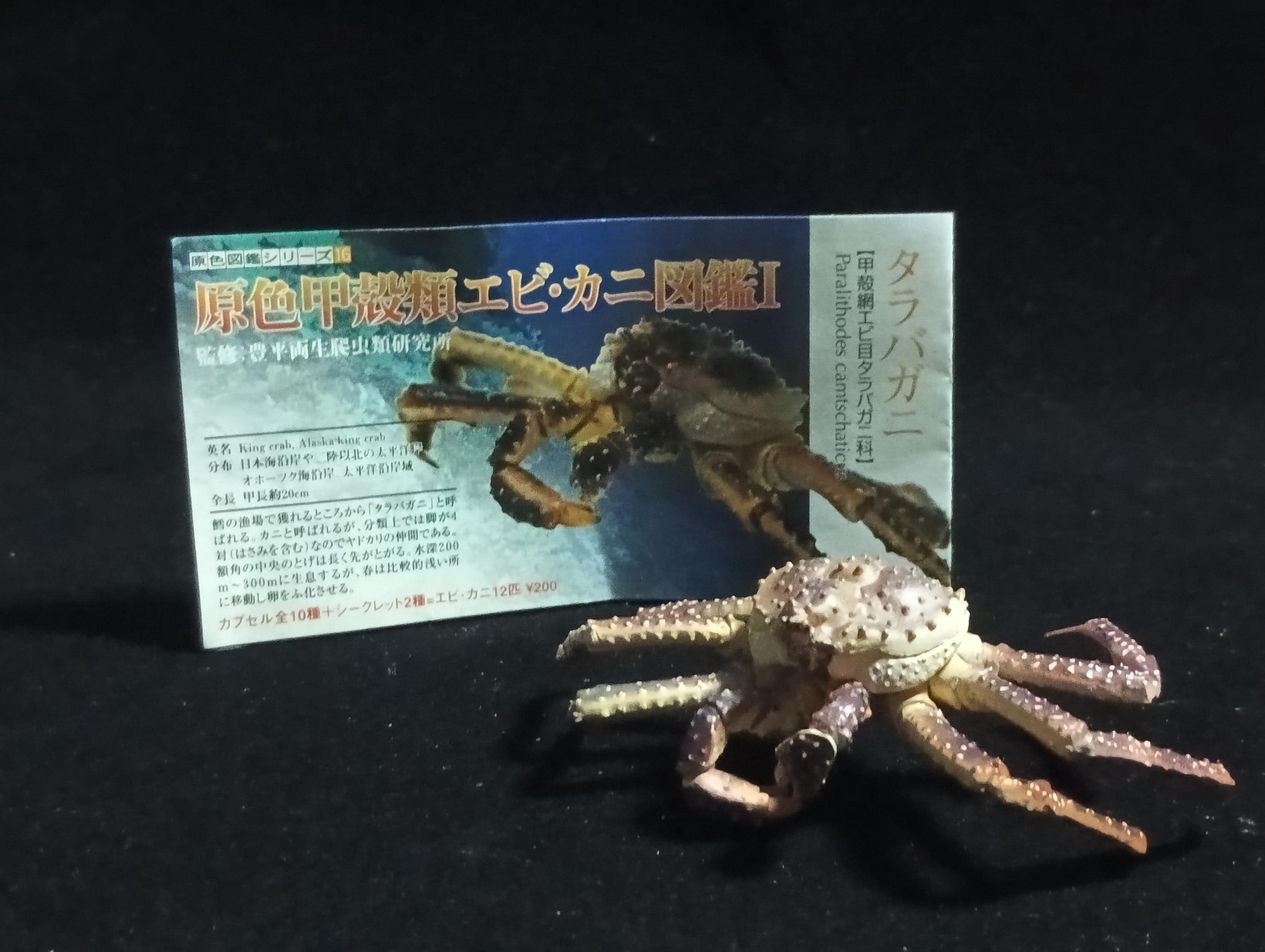 Yujin Takara Kaiyodo Retired Japan Exclusive Alaska king crab, Paralithodes camtschaticus Figure