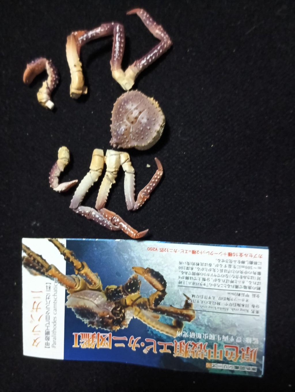 Yujin Takara Kaiyodo Retired Japan Exclusive Alaska king crab, Paralithodes camtschaticus Figure