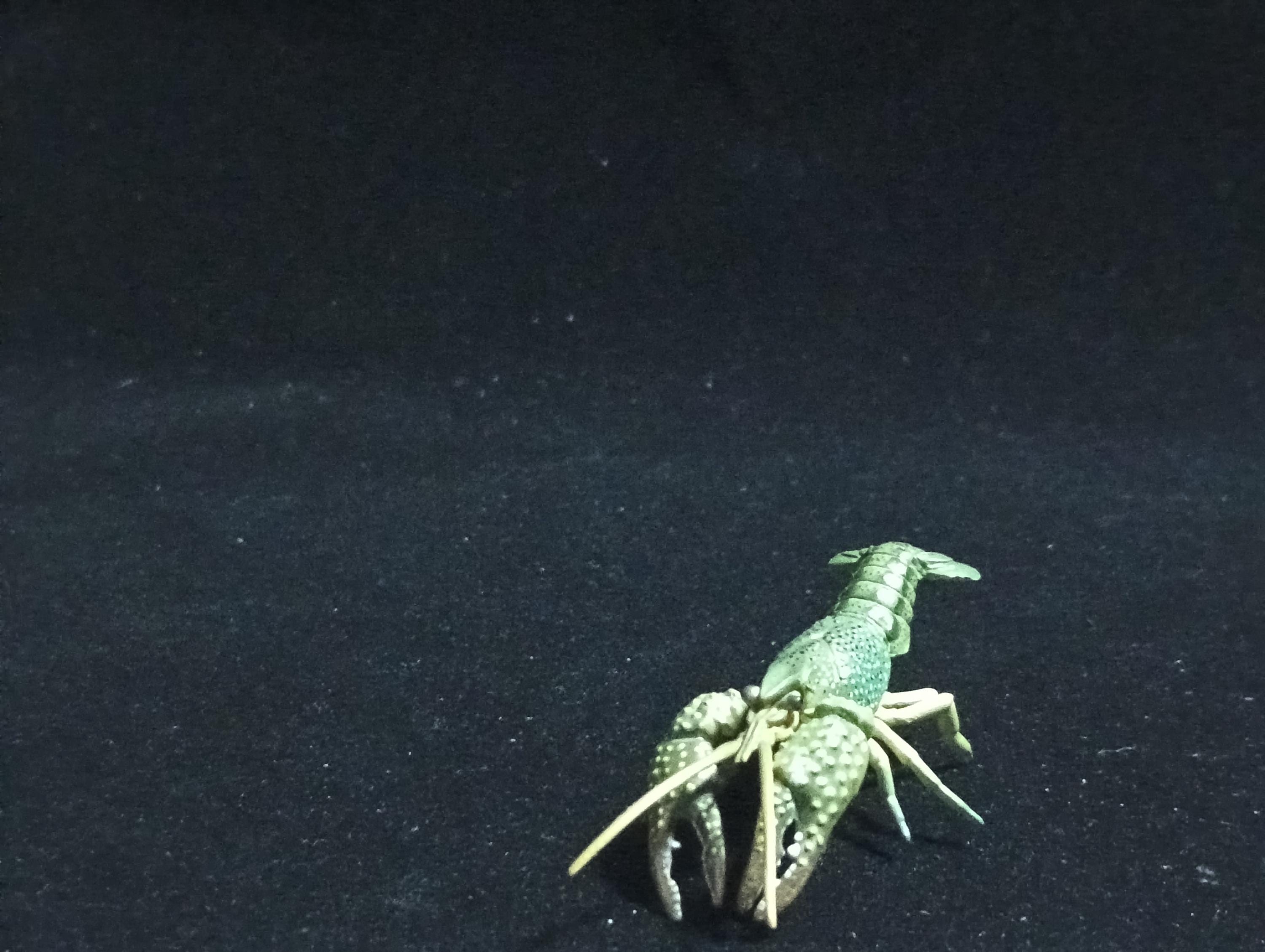 Yujin Takara Kaiyodo Retired Japan Exclusive Blue Swamp Crayfish, Procambarus clarkii Figure