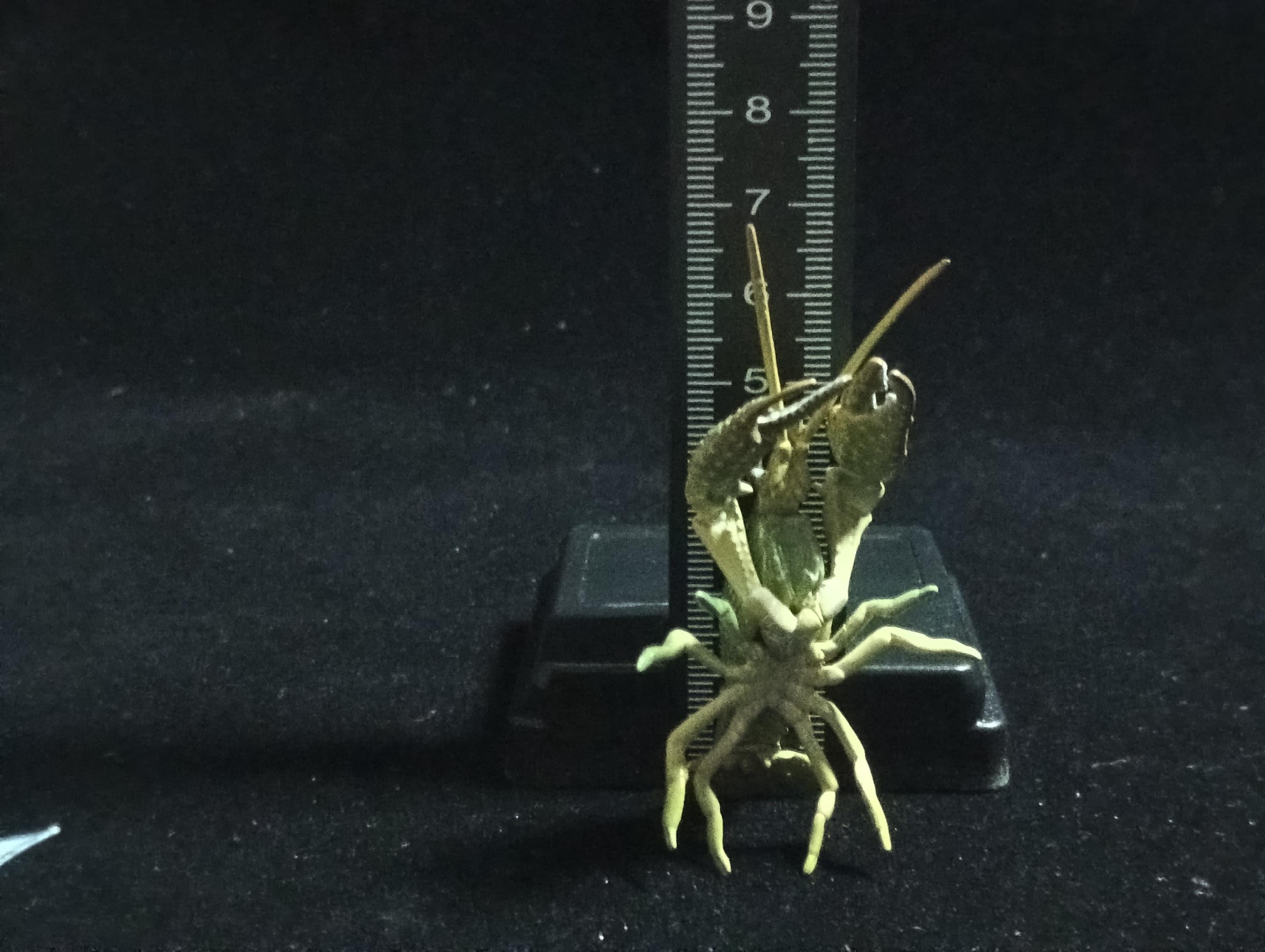 Yujin Takara Kaiyodo Retired Japan Exclusive Blue Swamp Crayfish, Procambarus clarkii Figure