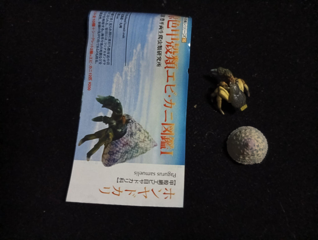 Yujin Takara Kaiyodo Retired Japan Exclusive Coenobita violascens (hermit crab) Figure