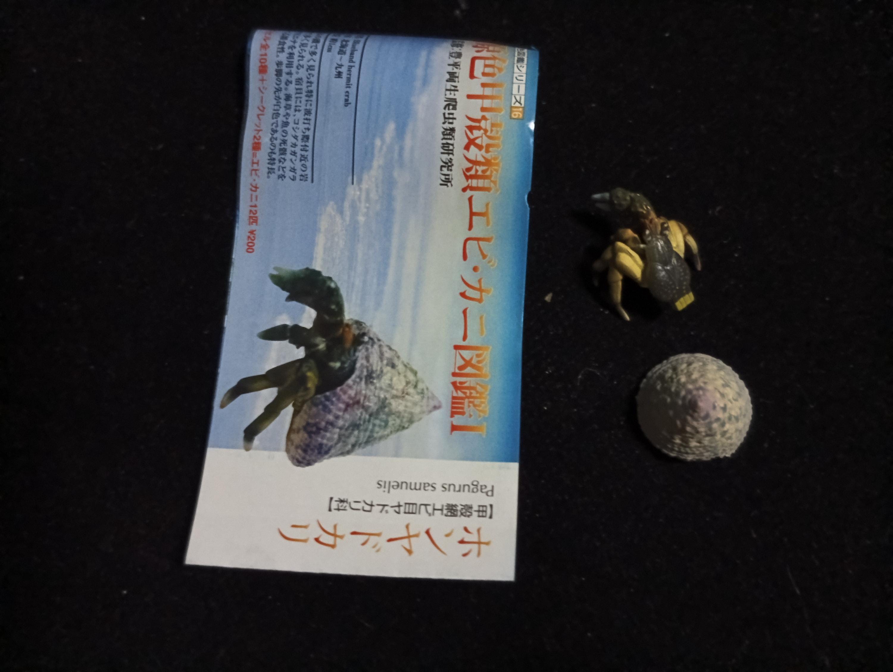 Yujin Takara Kaiyodo Retired Japan Exclusive Coenobita violascens (hermit crab) Figure