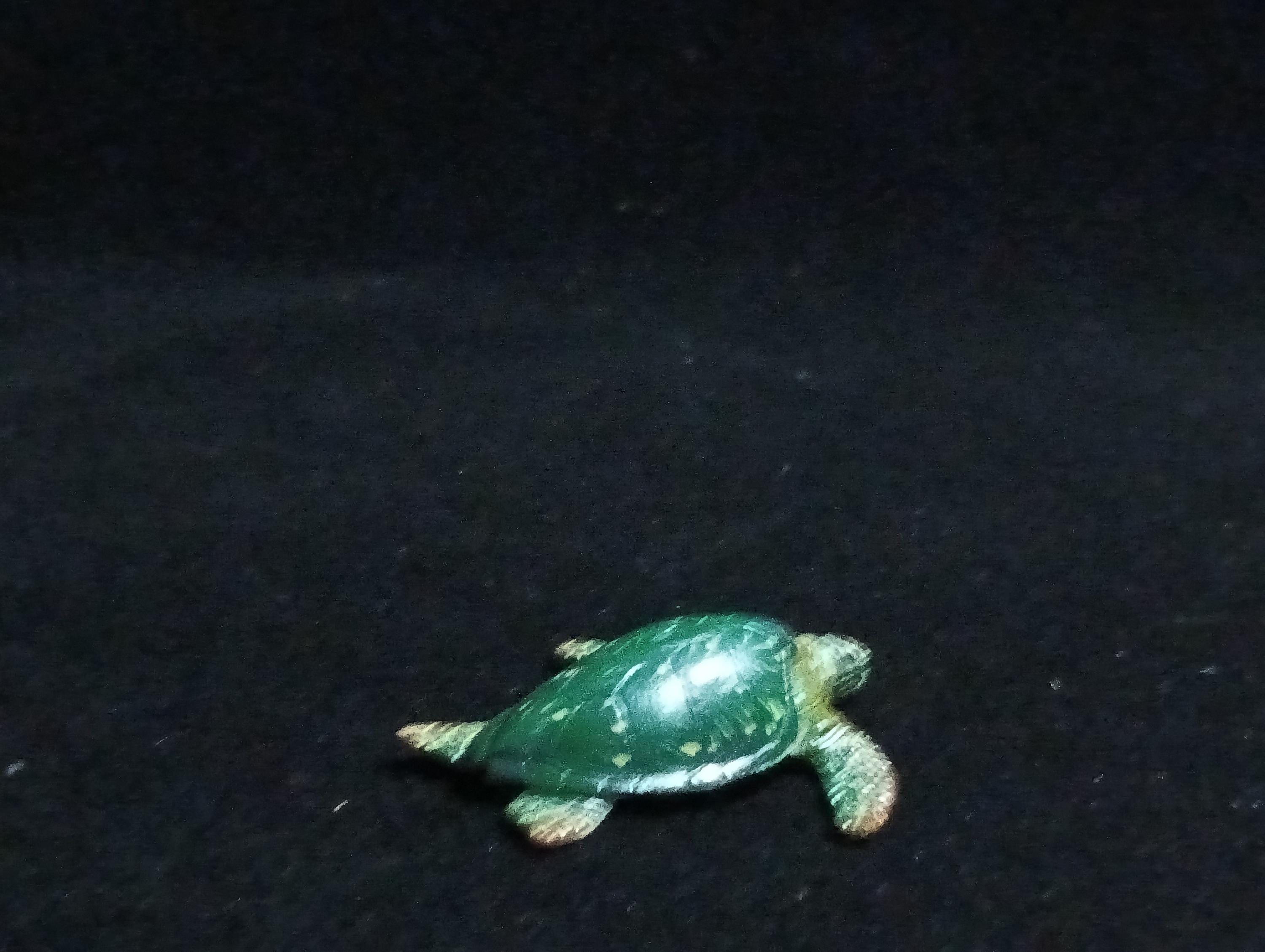 Kaiyodo ChocoQ Animatales Series 6 Green Sea Turtle