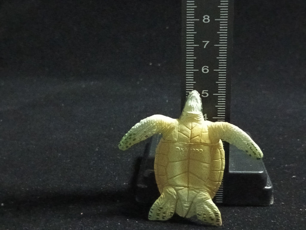 Kaiyodo ChocoQ Animatales Series 6 Green Sea Turtle
