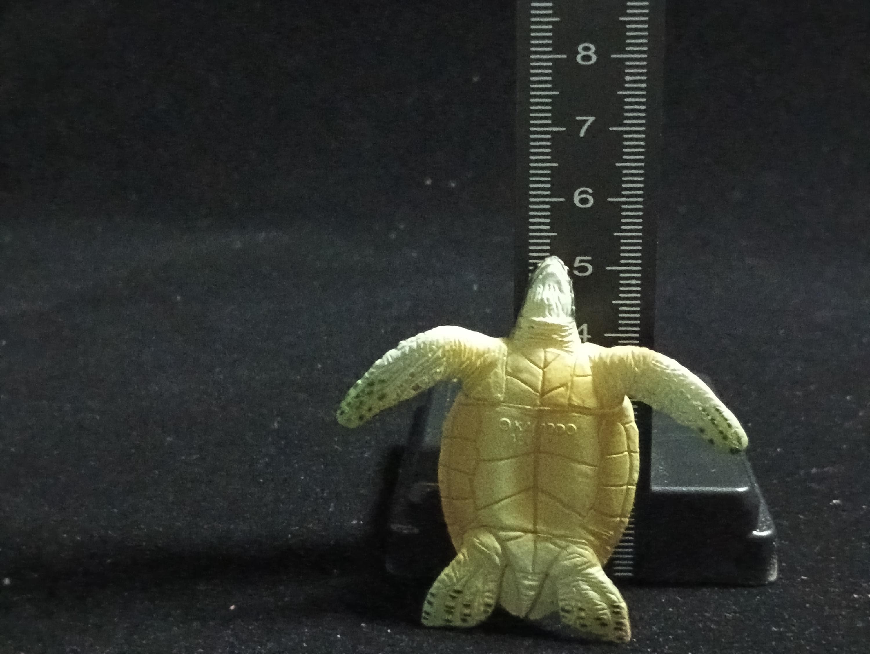 Kaiyodo ChocoQ Animatales Series 6 Green Sea Turtle