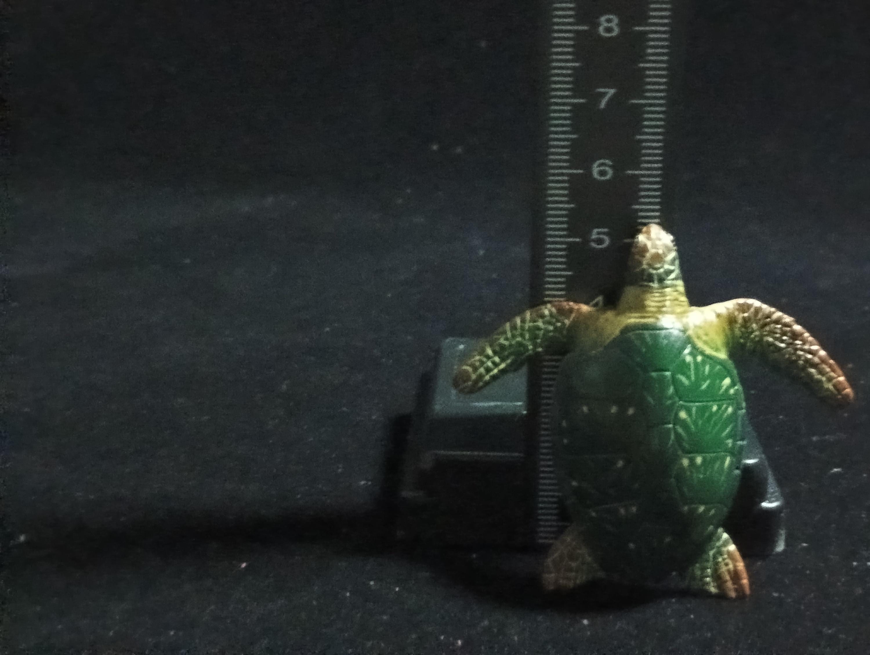 Kaiyodo ChocoQ Animatales Series 6 Green Sea Turtle