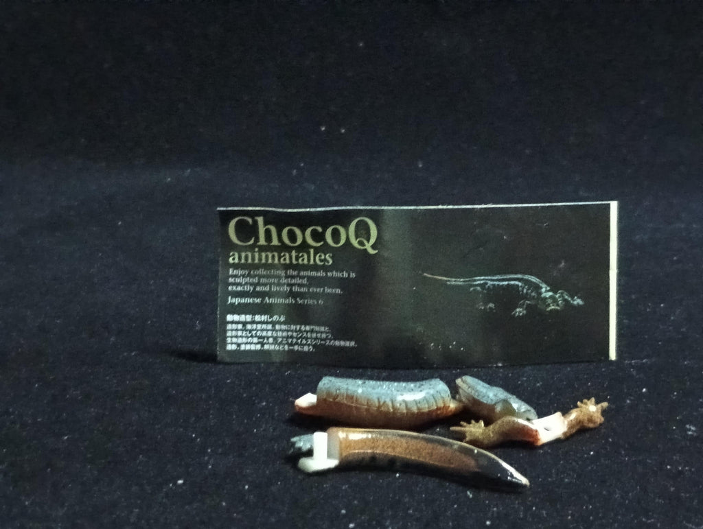 Kaiyodo ChocoQ Animatales Series 6 Japanese clouded salamander