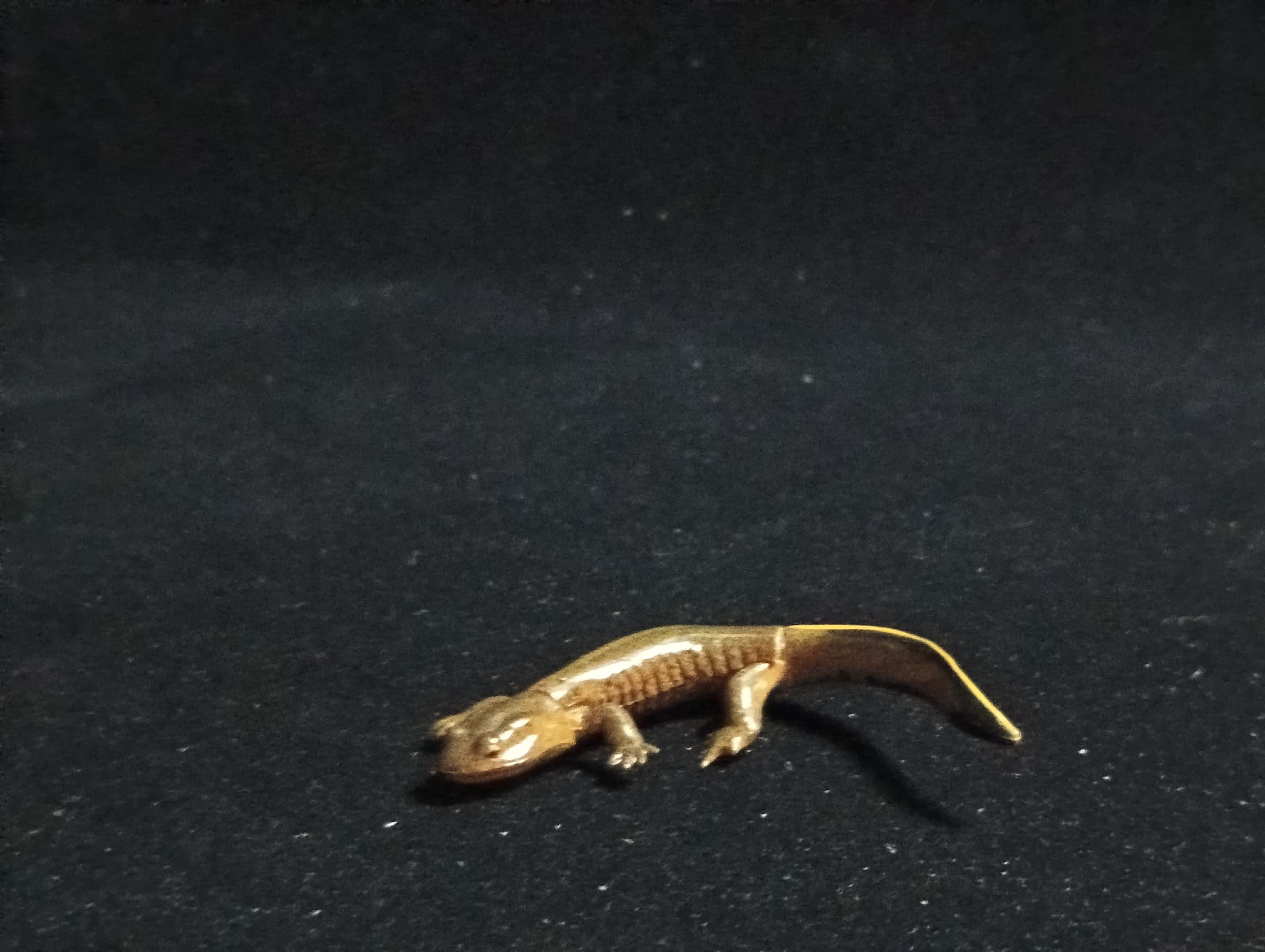 Kaiyodo ChocoQ Animatales Series 6 Japanese clouded salamander