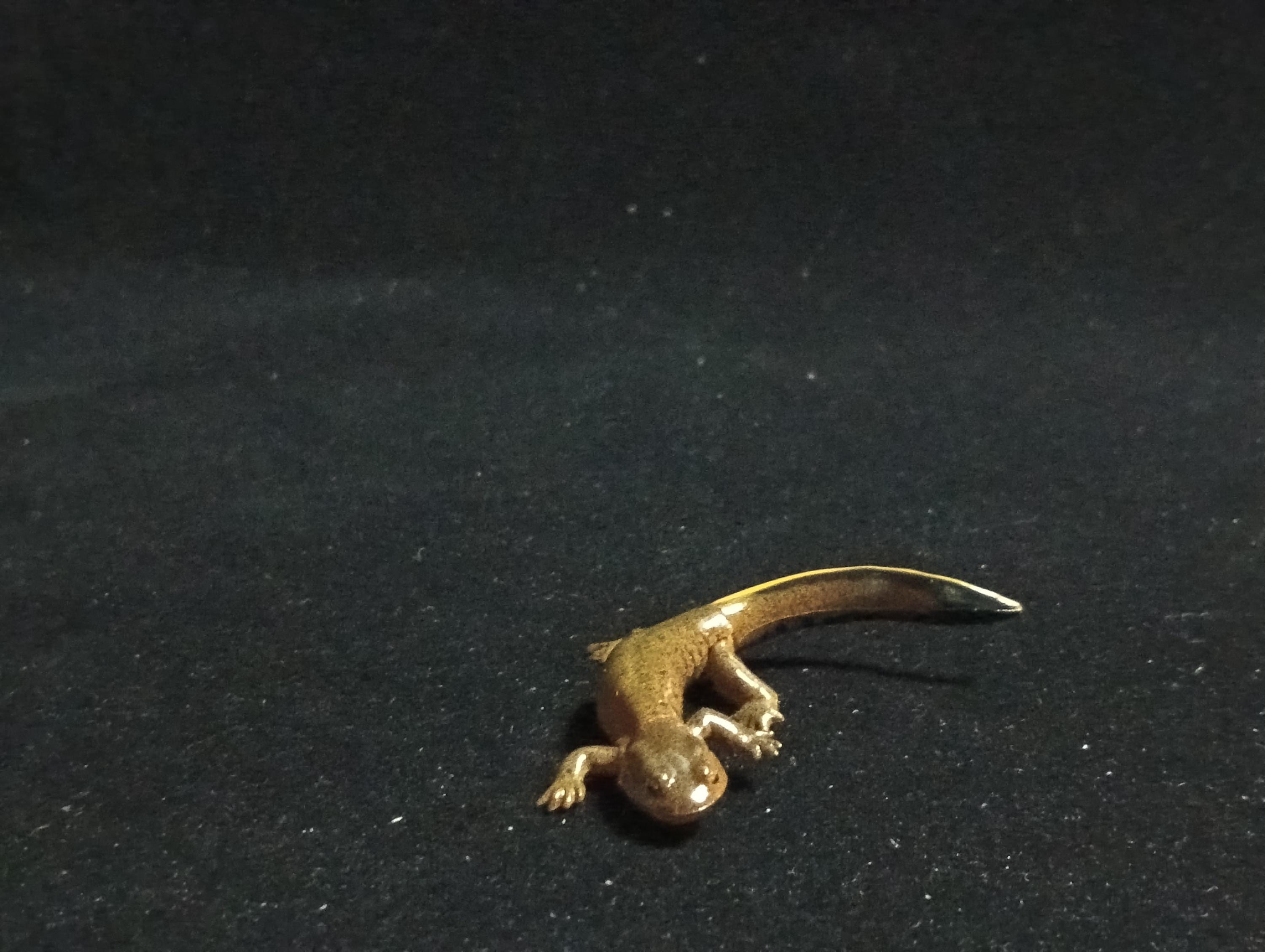 Kaiyodo ChocoQ Animatales Series 6 Japanese clouded salamander