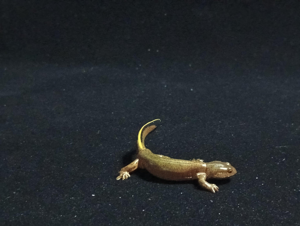 Kaiyodo ChocoQ Animatales Series 6 Japanese clouded salamander