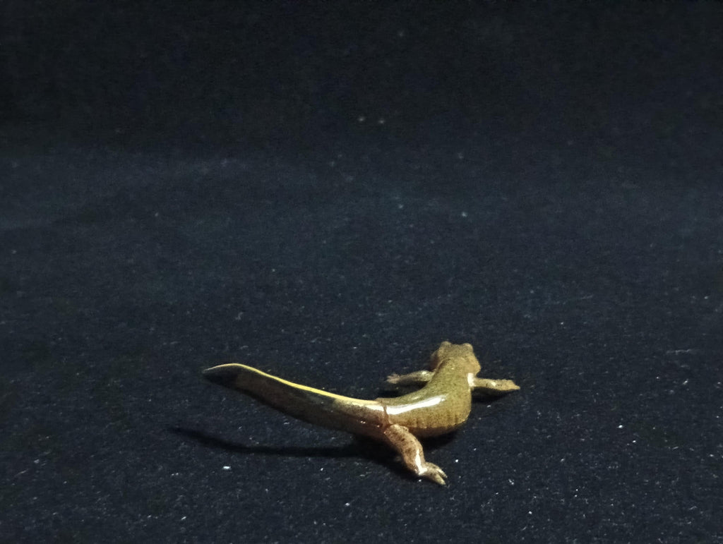Kaiyodo ChocoQ Animatales Series 6 Japanese clouded salamander