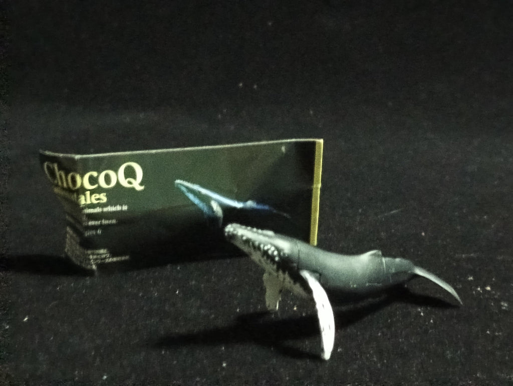 Kaiyodo ChocoQ Animatales Series 6 HUMPBACK WHALE