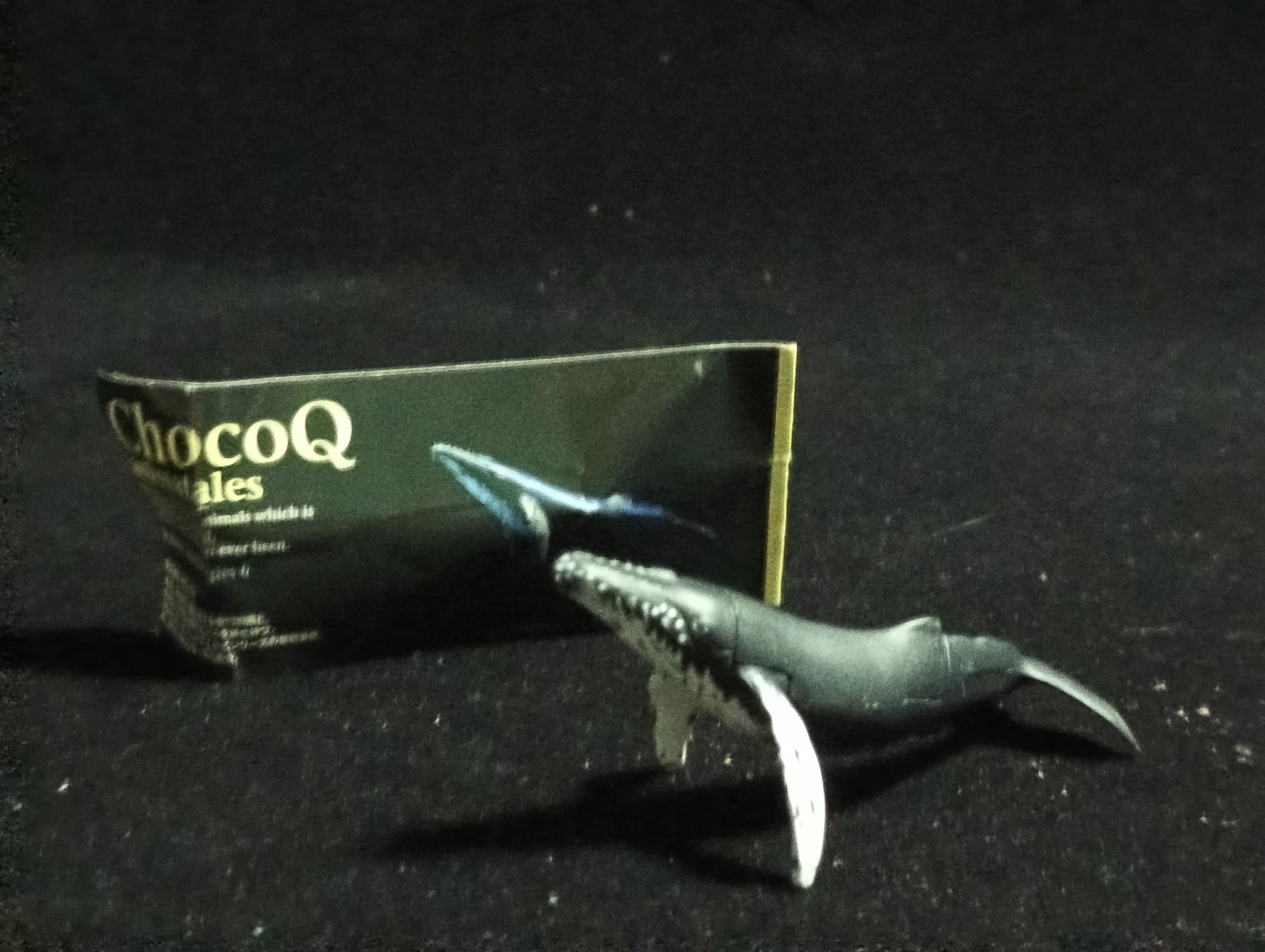 Kaiyodo ChocoQ Animatales Series 6 HUMPBACK WHALE
