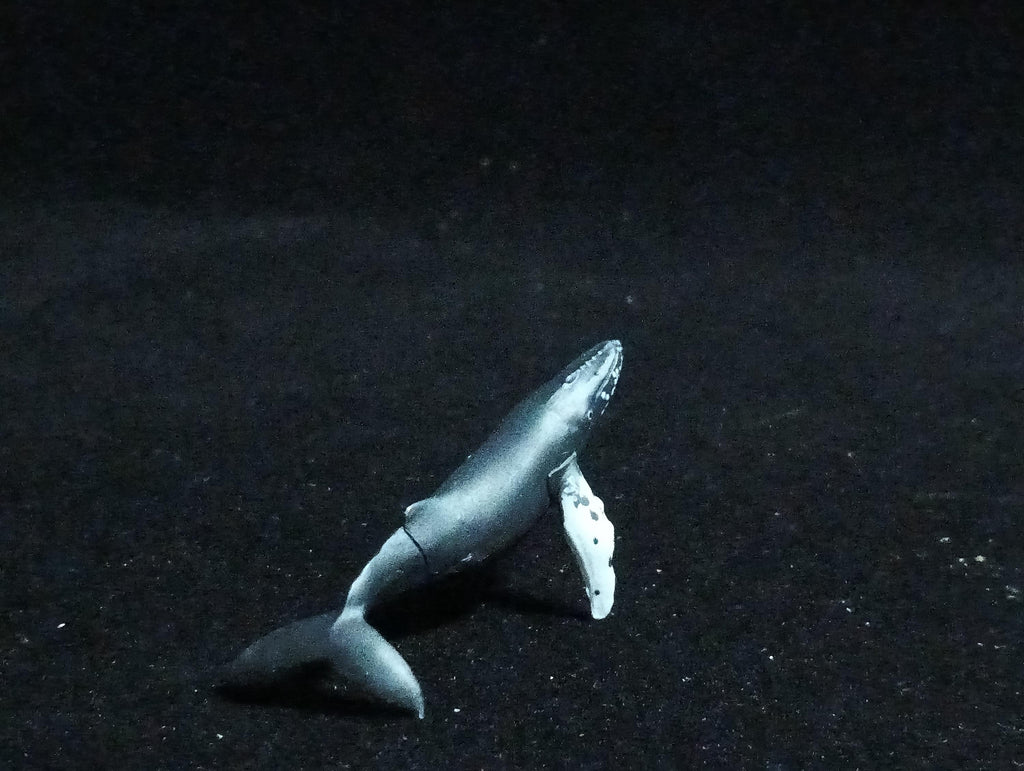 Kaiyodo ChocoQ Animatales Series 6 HUMPBACK WHALE