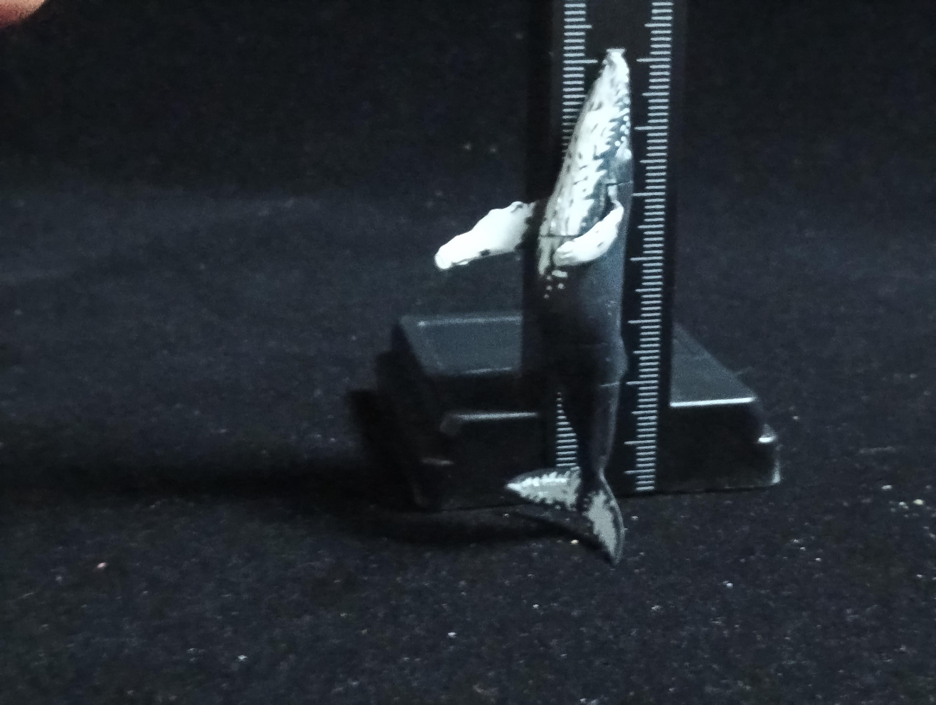 Kaiyodo ChocoQ Animatales Series 6 HUMPBACK WHALE