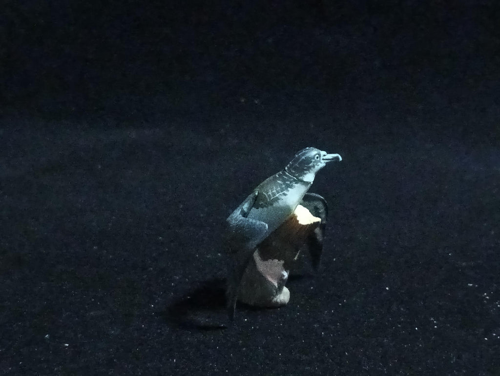 Kaiyodo ChocoQ Animatales Series 6 Japanese Streaked shearwater