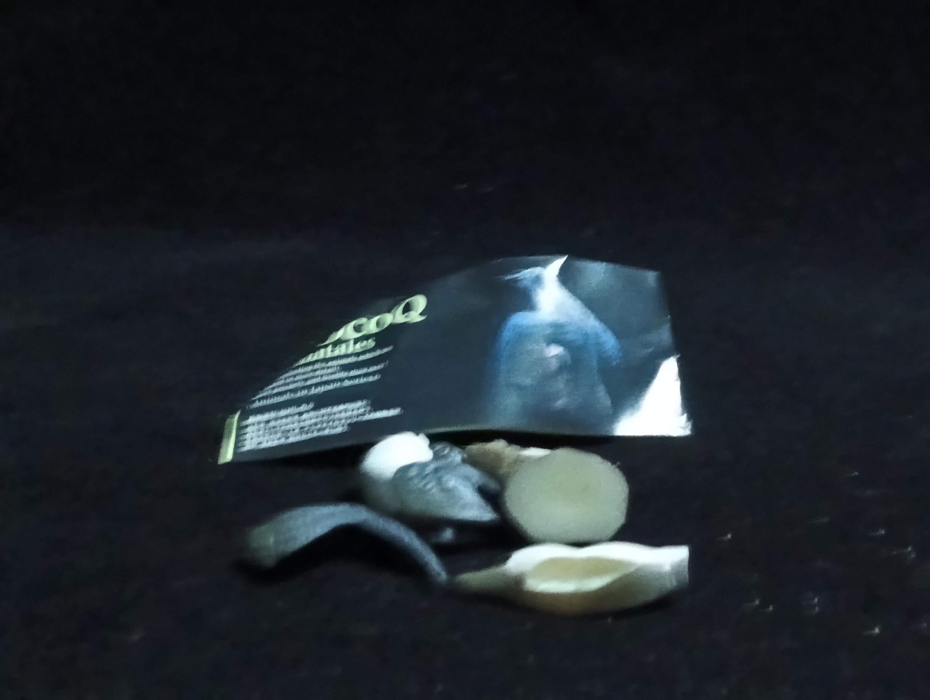 Kaiyodo ChocoQ Animatales Series 6 Japanese Streaked shearwater