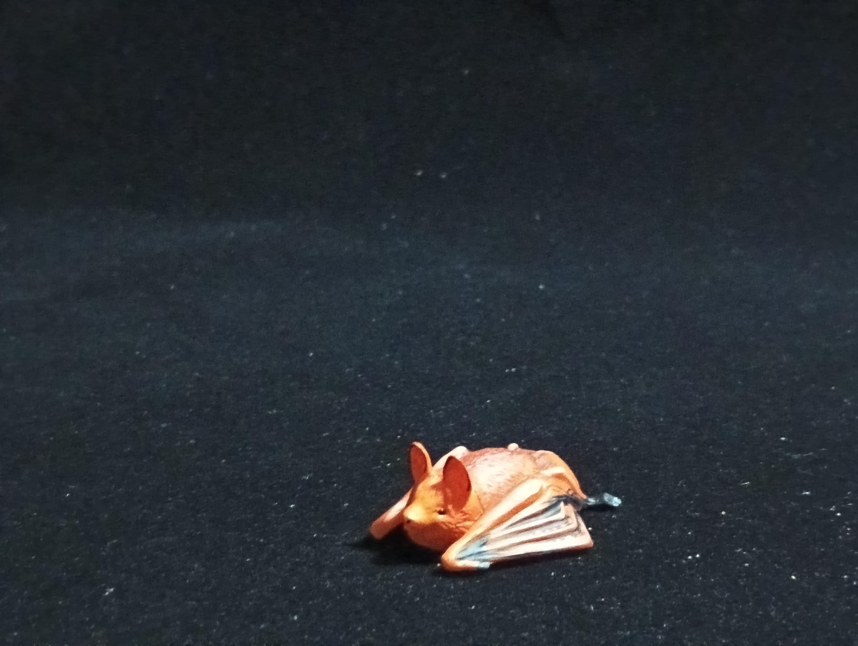 Kaiyodo ChocoQ Animatales Series 6 HODGSON'S BAT (Copper-winged Bat)