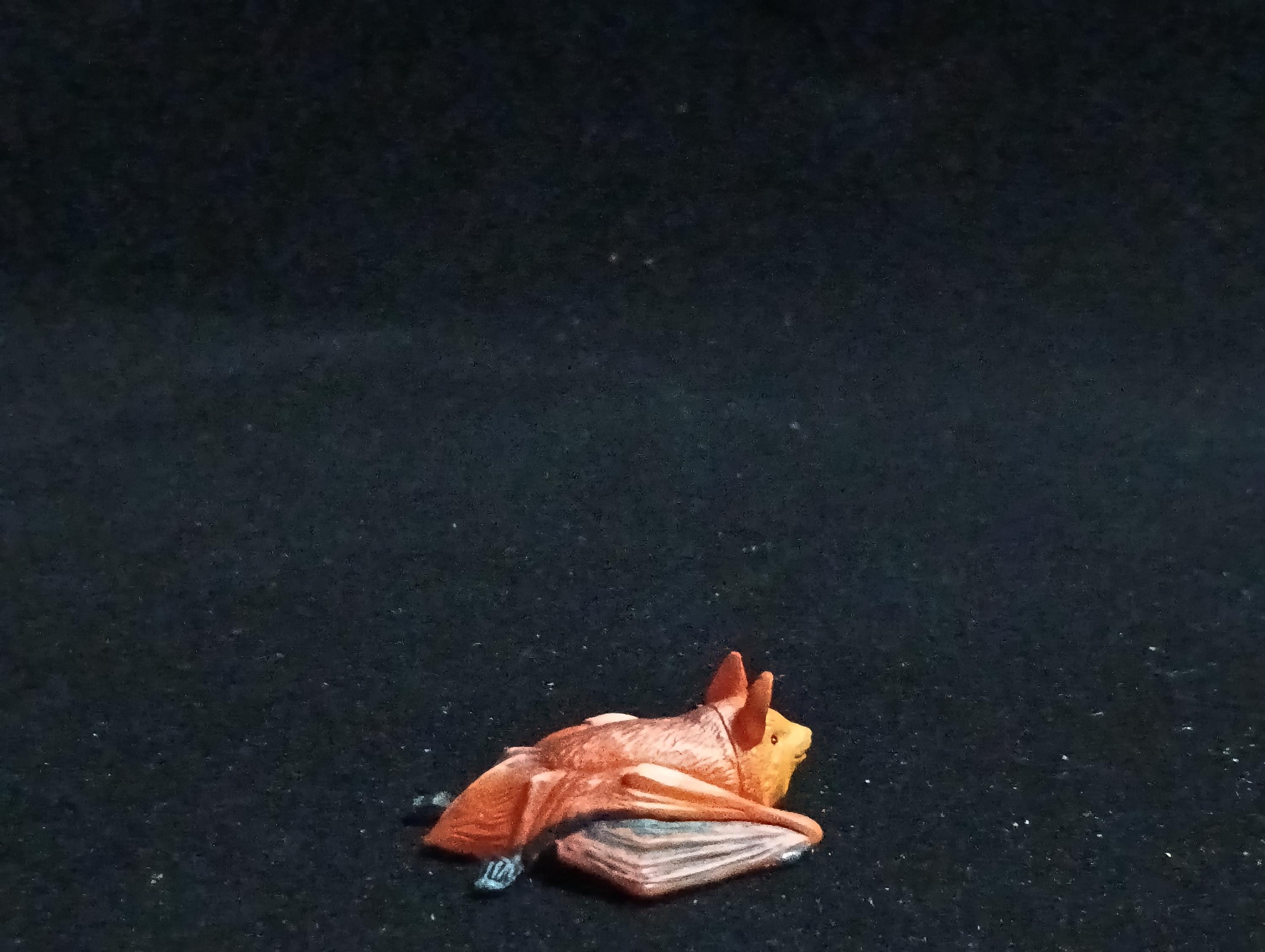 Kaiyodo ChocoQ Animatales Series 6 HODGSON'S BAT (Copper-winged Bat)