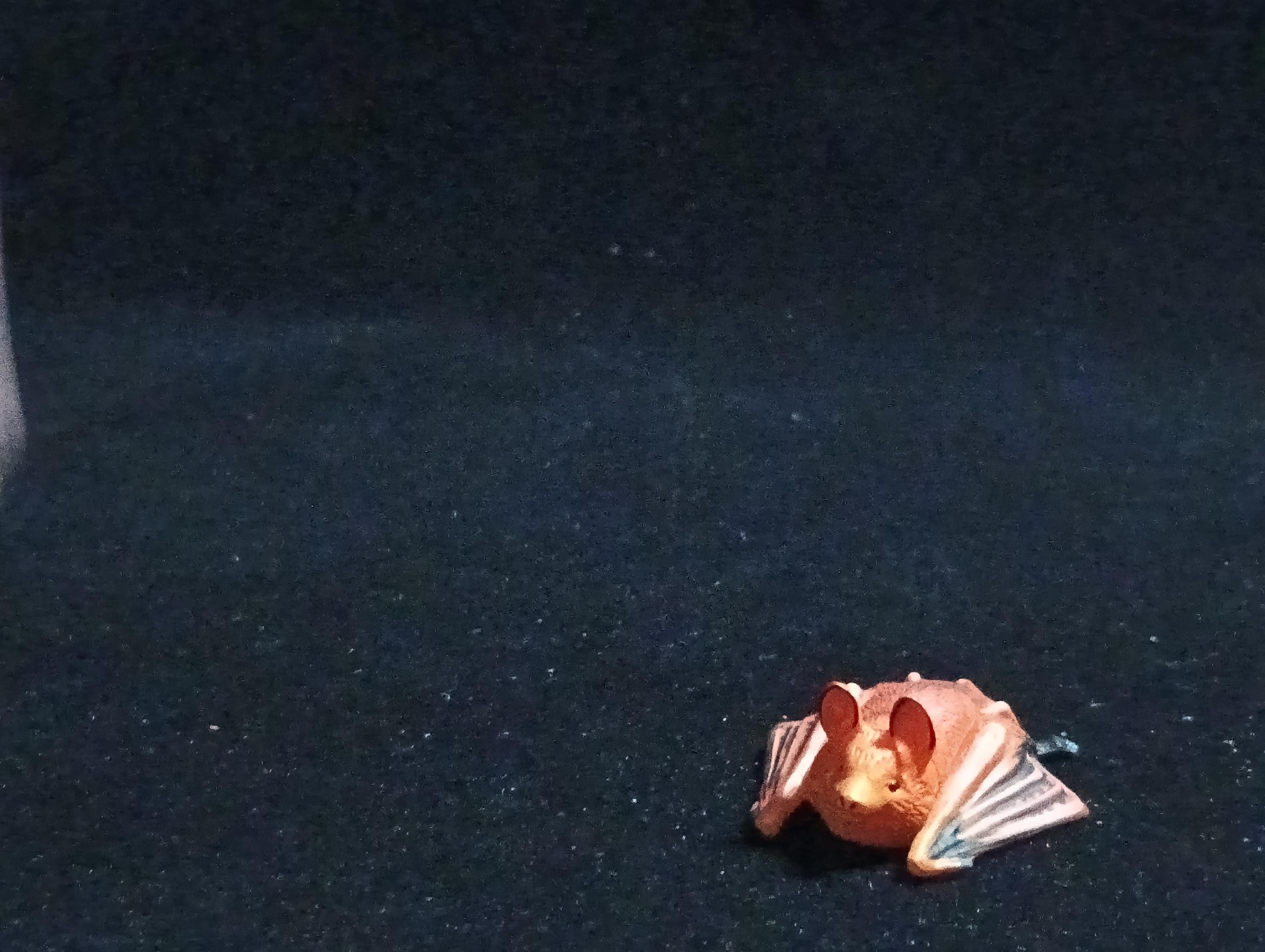 Kaiyodo ChocoQ Animatales Series 6 HODGSON'S BAT (Copper-winged Bat)