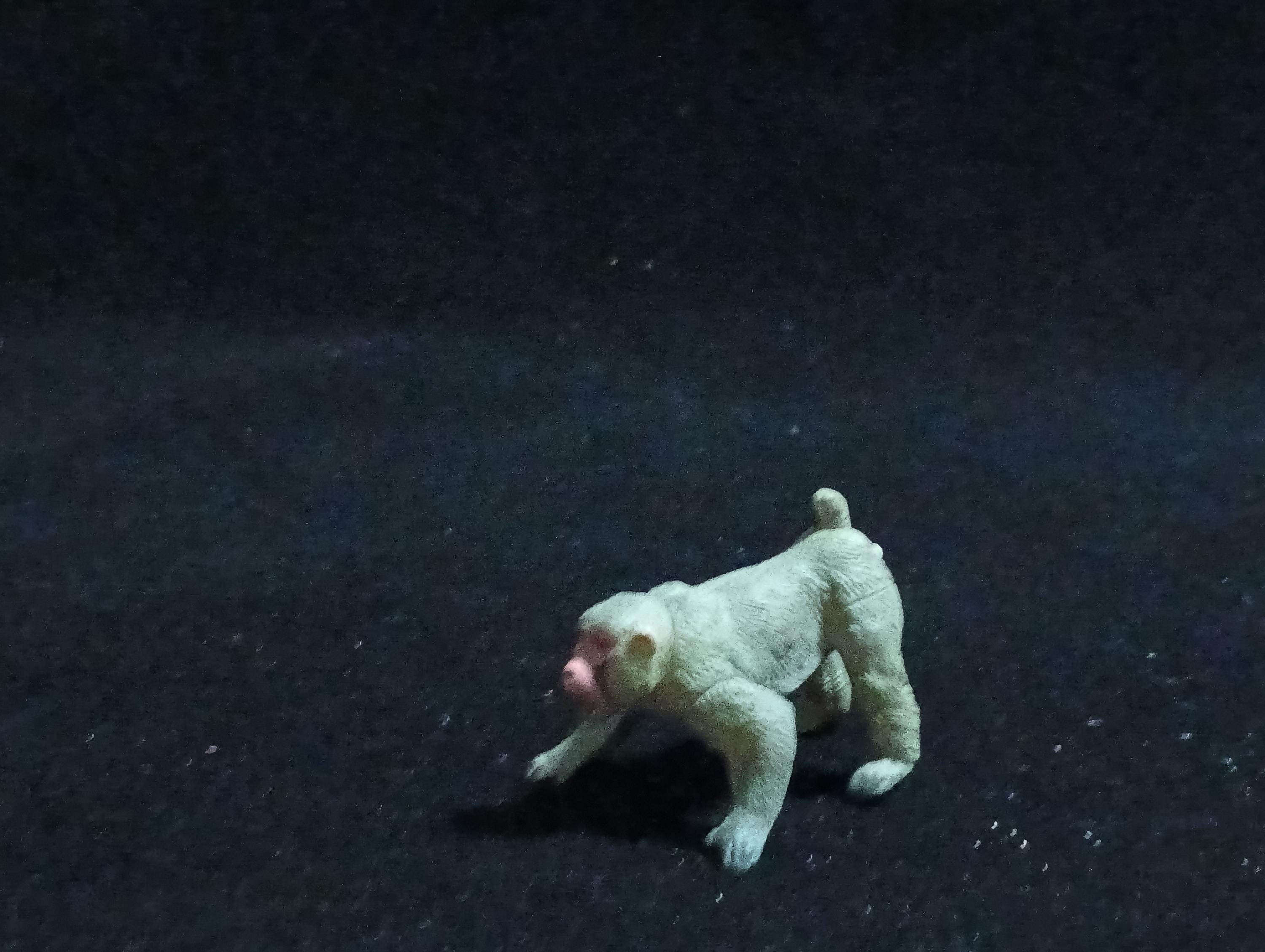 Kaiyodo ChocoQ Animatales Series 6 Macaca fuscata