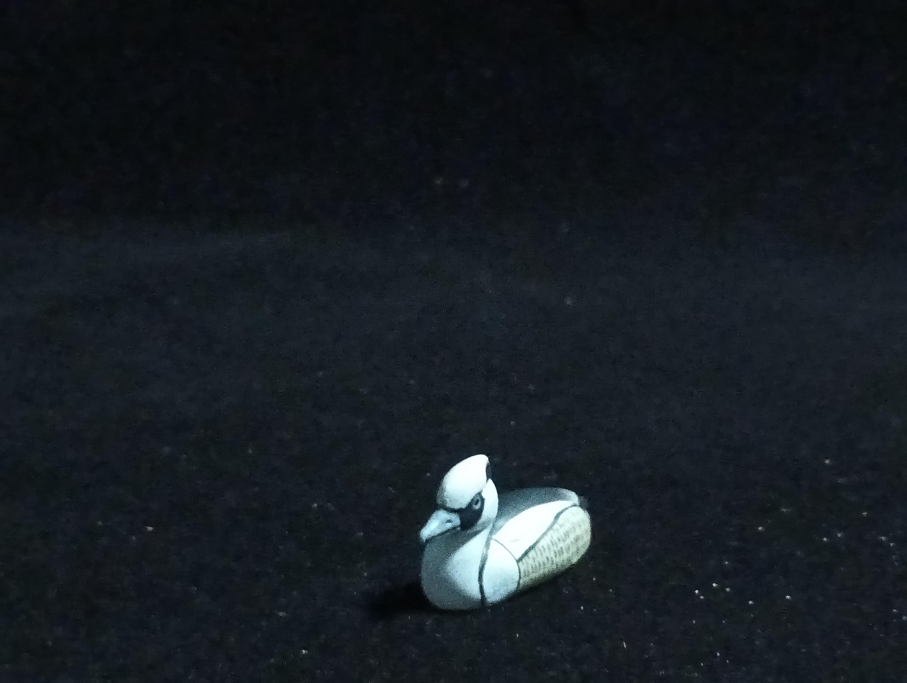Kaiyodo ChocoQ Animatales Series 6 Smew Bird Duck