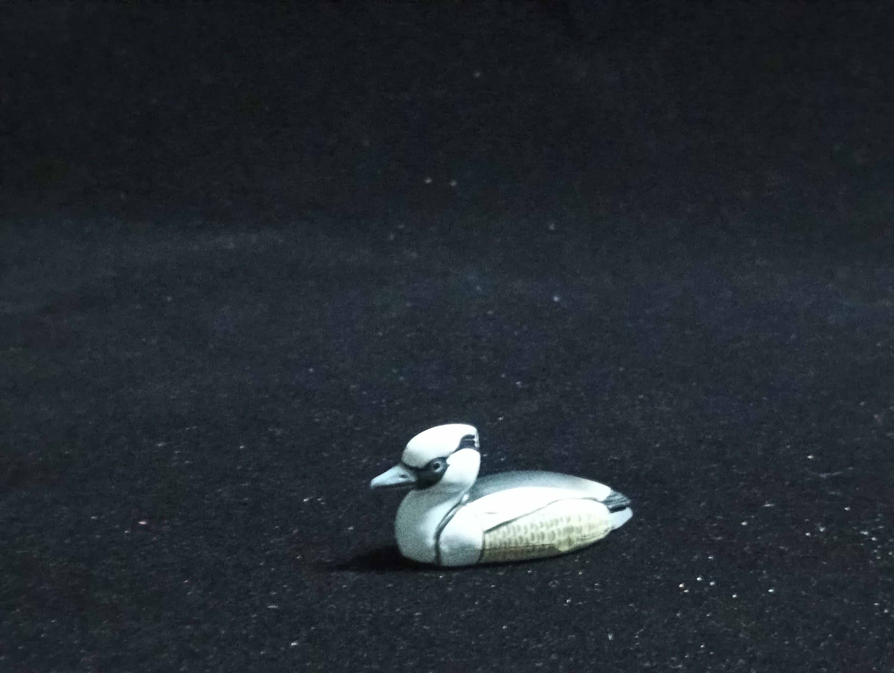 Kaiyodo ChocoQ Animatales Series 6 Smew Bird Duck