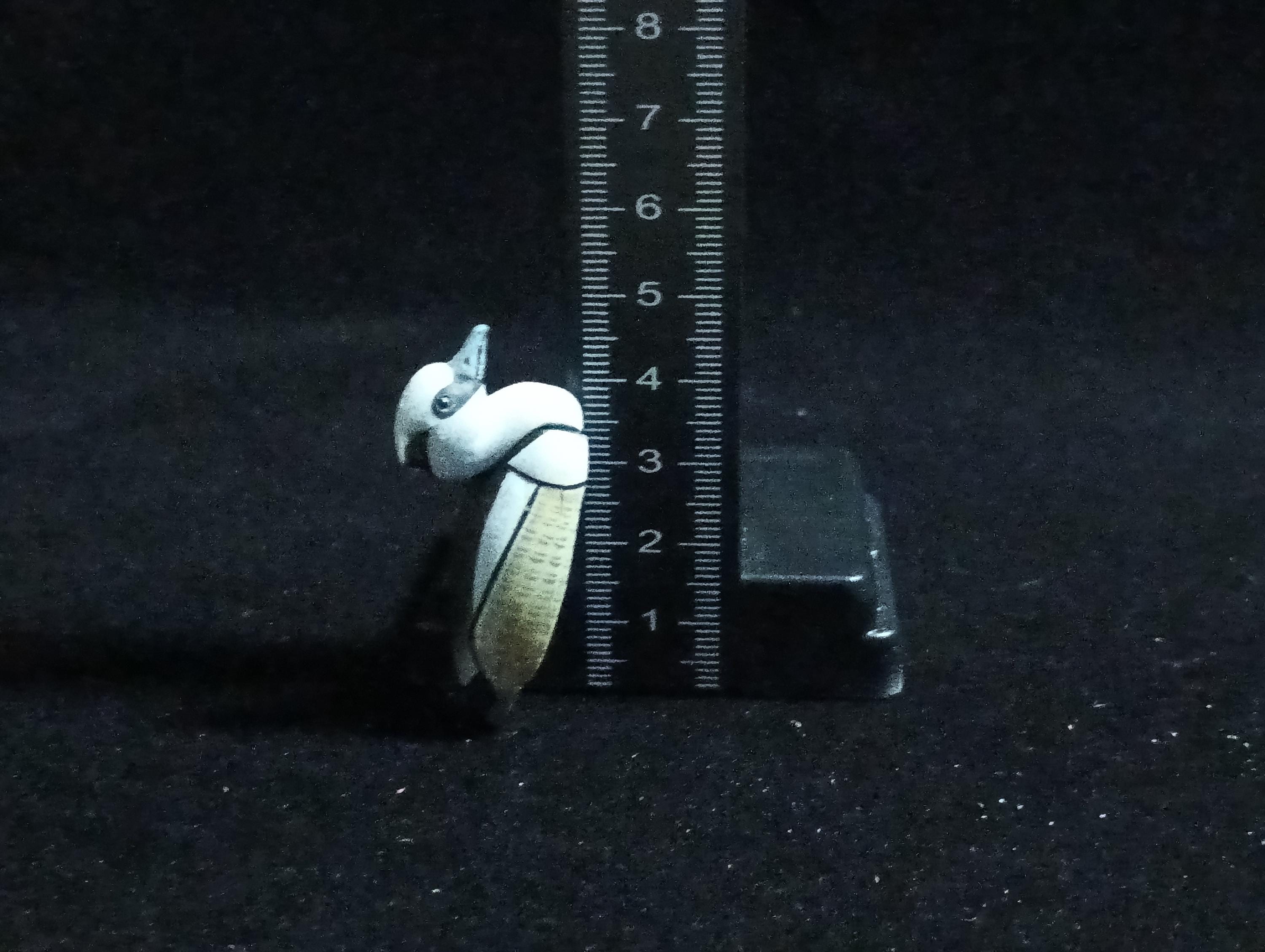 Kaiyodo ChocoQ Animatales Series 6 Smew Bird Duck