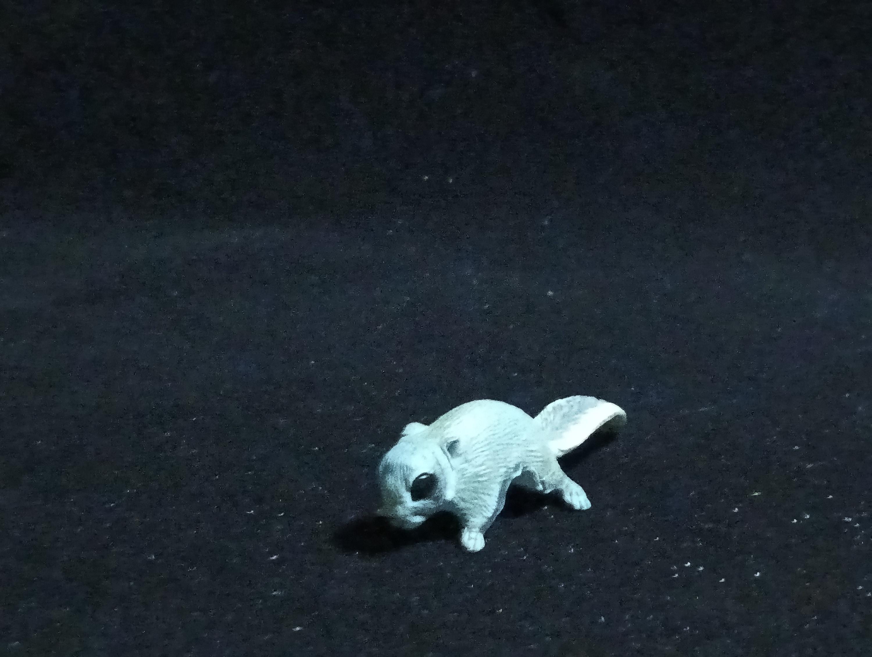 Kaiyodo ChocoQ Animatales Series 6 Flying Squirrel