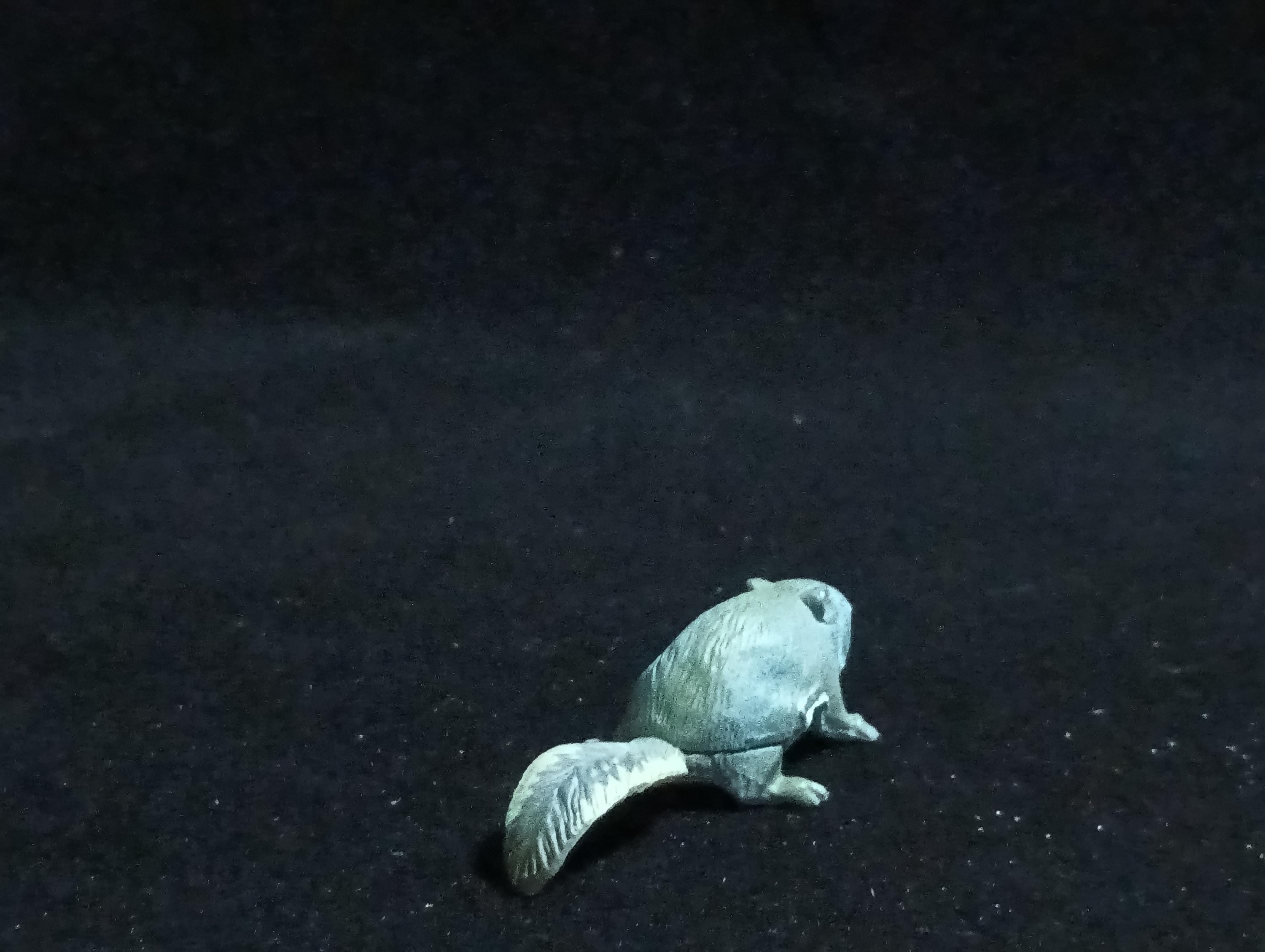 Kaiyodo ChocoQ Animatales Series 6 Flying Squirrel