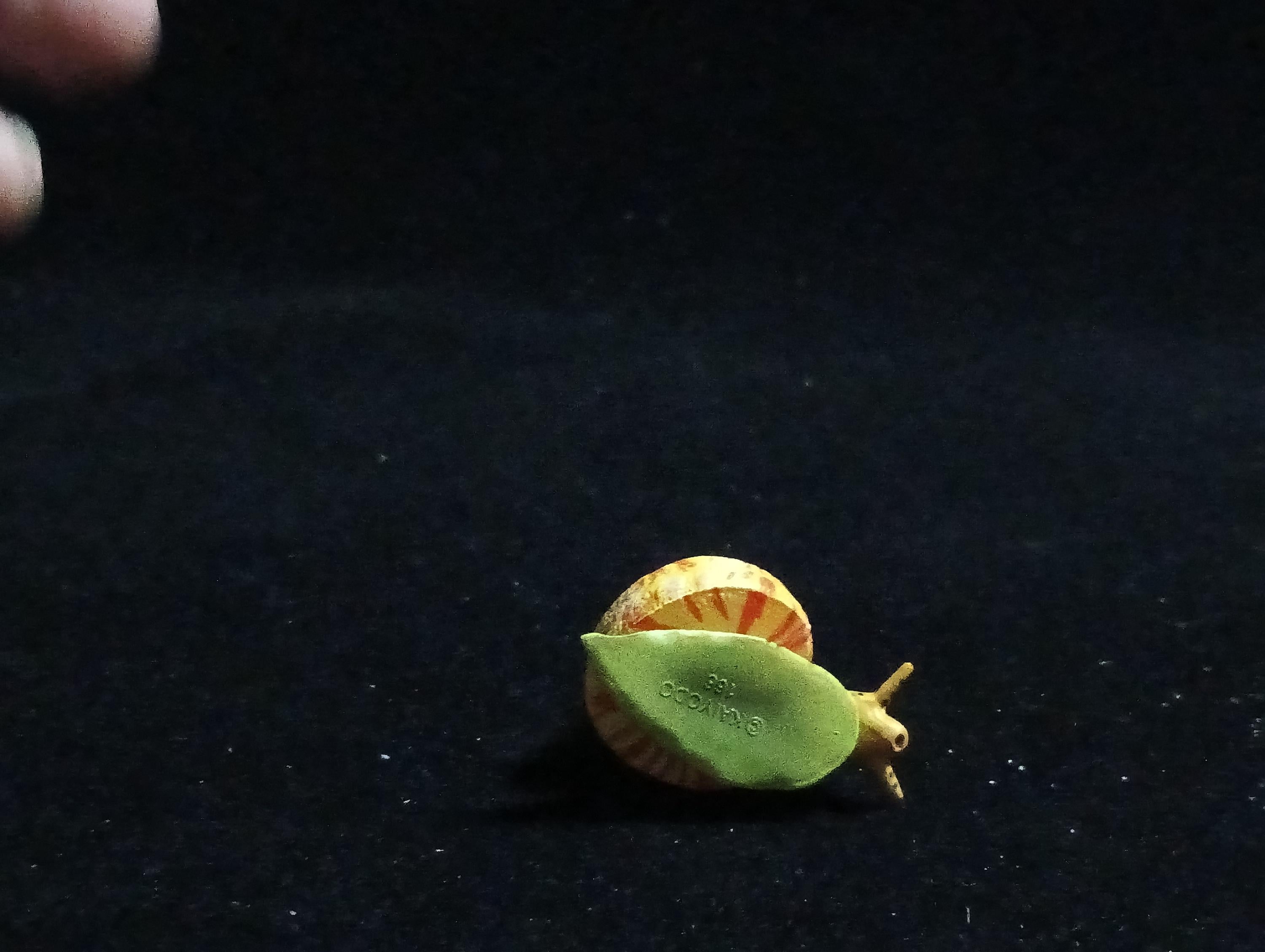 Kaiyodo ChocoQ Animatales Series 6 Okinawa shrimp shell