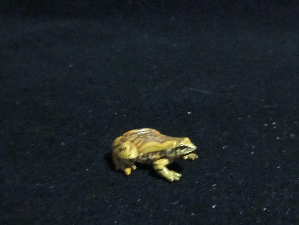 Kaiyodo ChocoQ Animatales Series 6 Tree frog